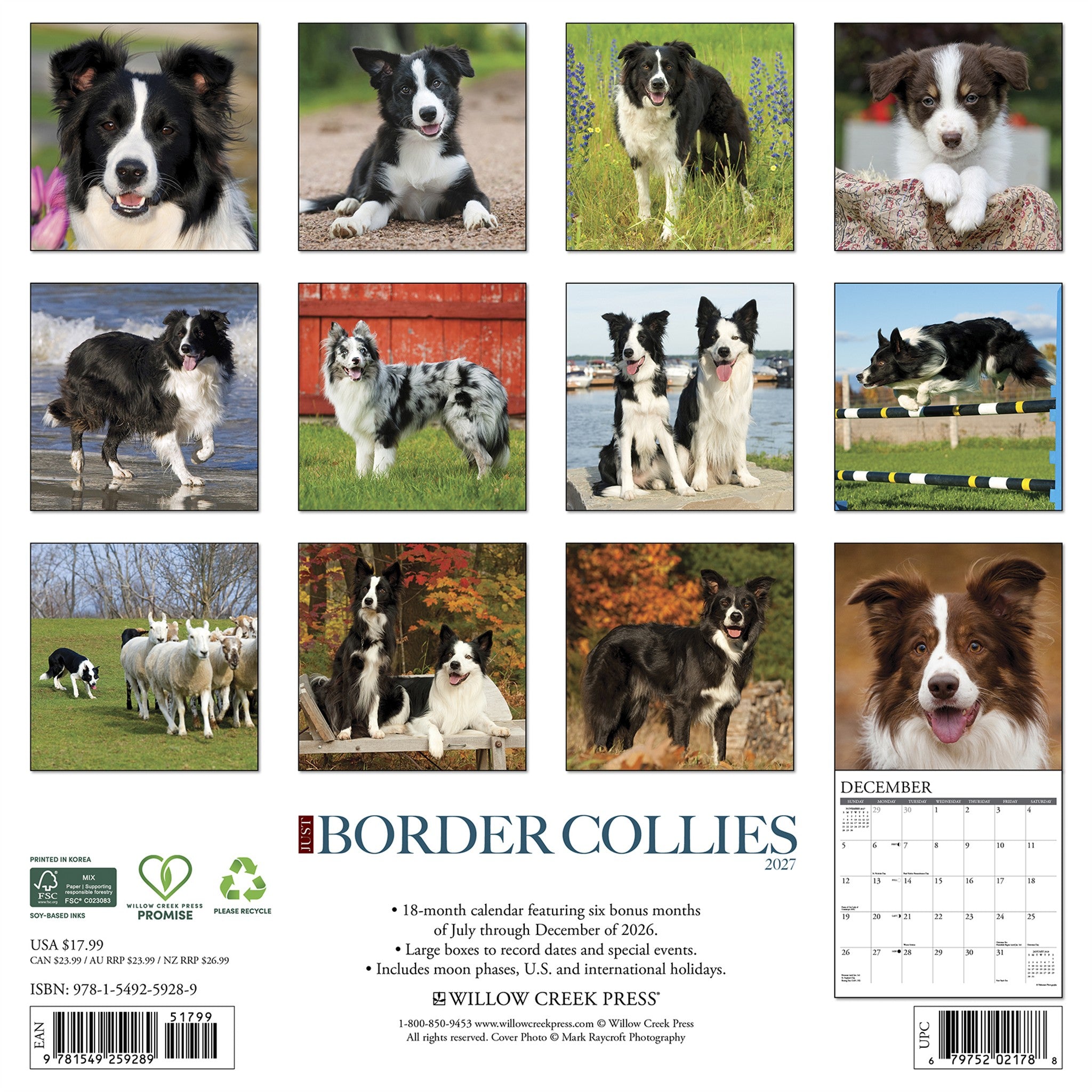 Border Collies 2027 Wall Calendar