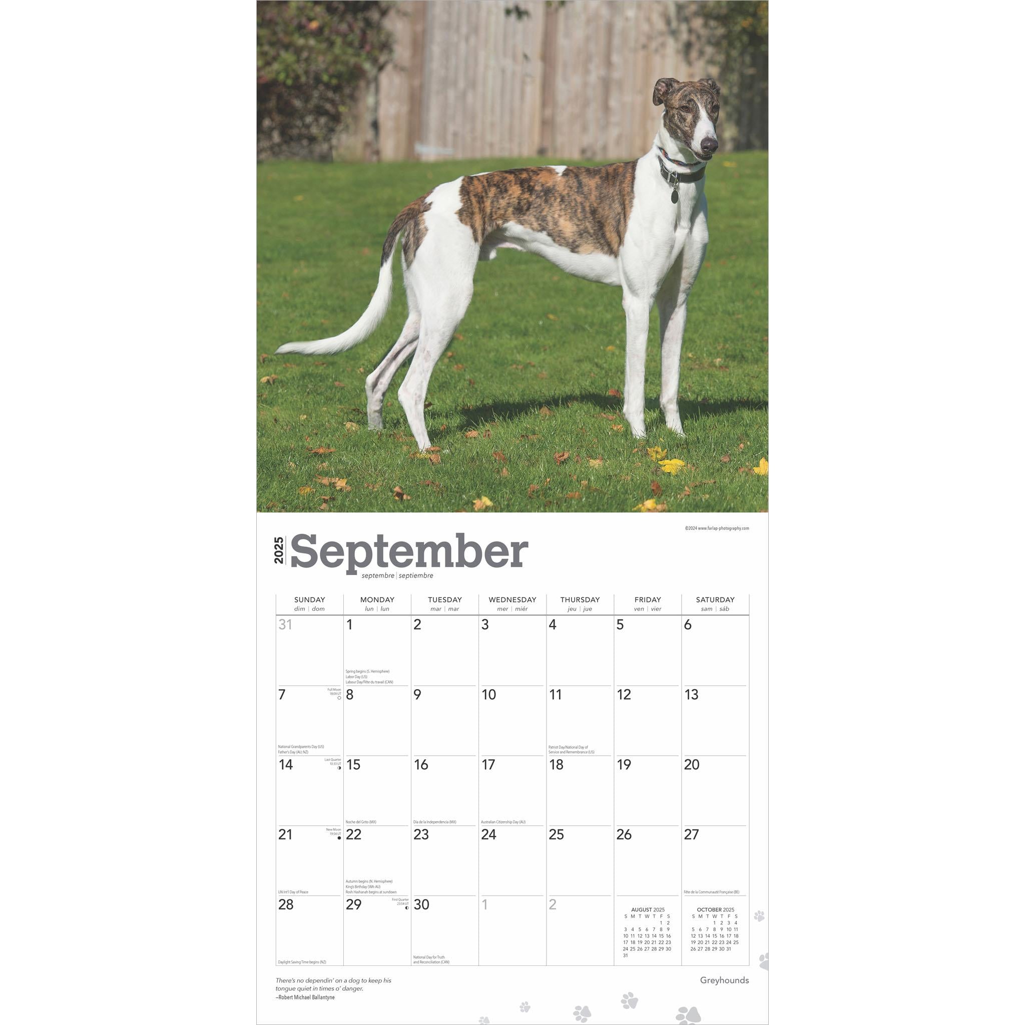 Greyhounds Wall 2025 Calendar