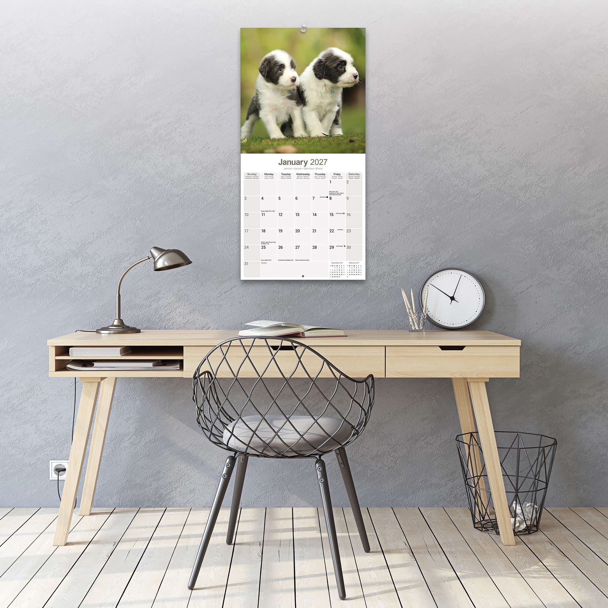 Bearded Collie 2027 Wall Calendar