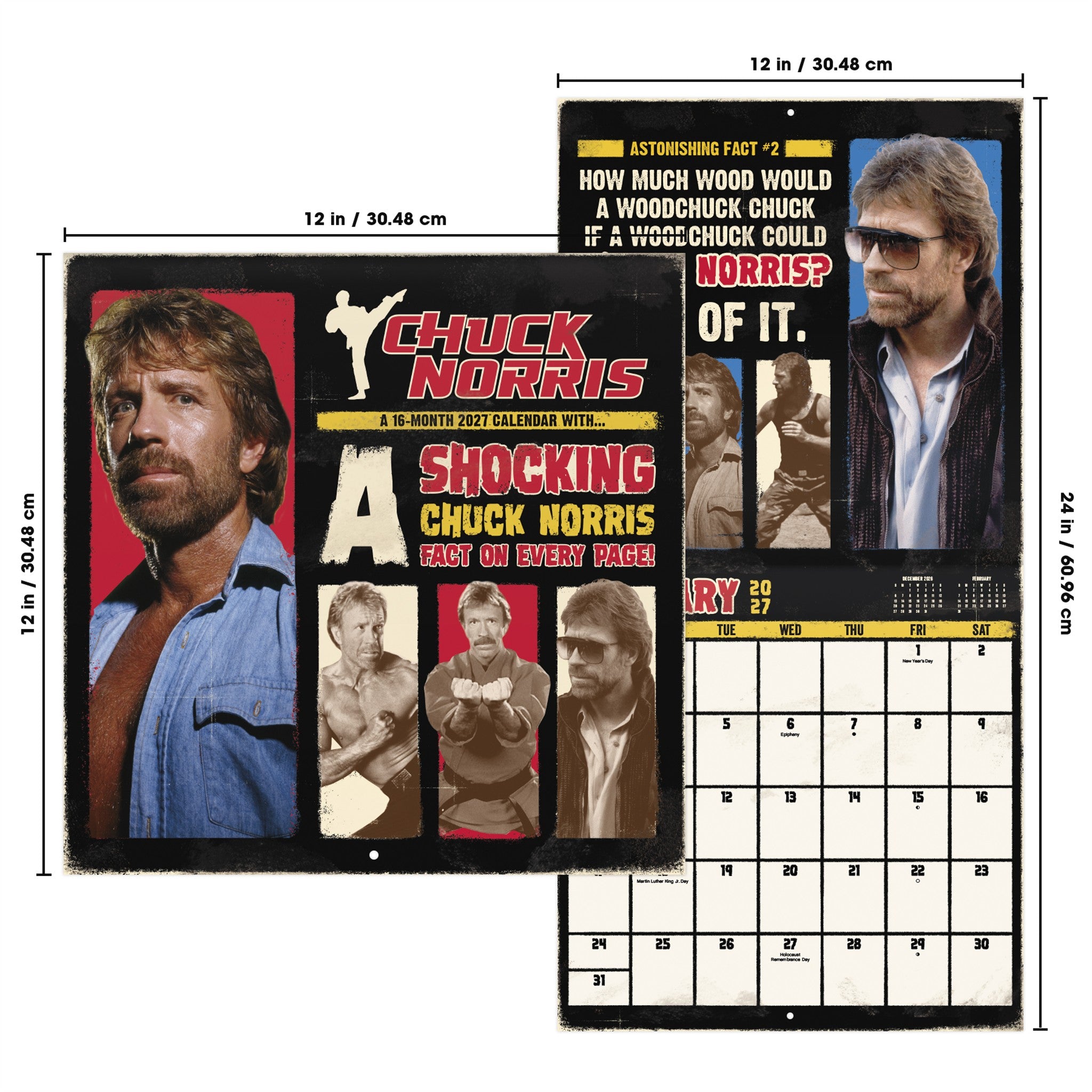 Chuck Norris 2027 Wall Calendar