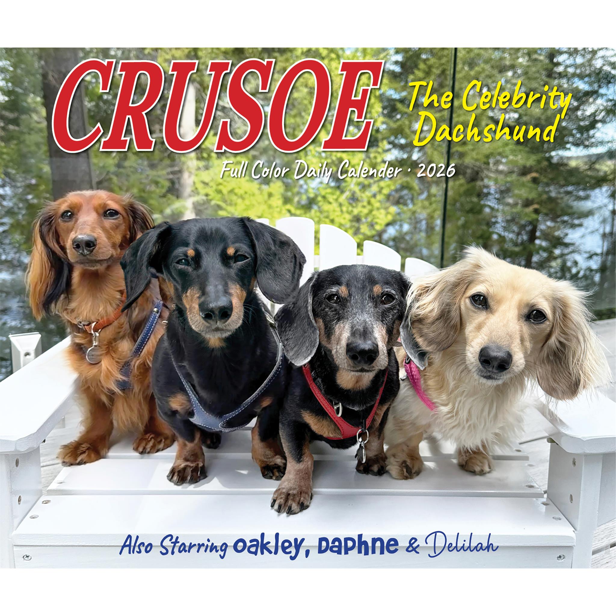 Crusoe The Celebrity Dachshund 2026 Box Calendar - Online Only