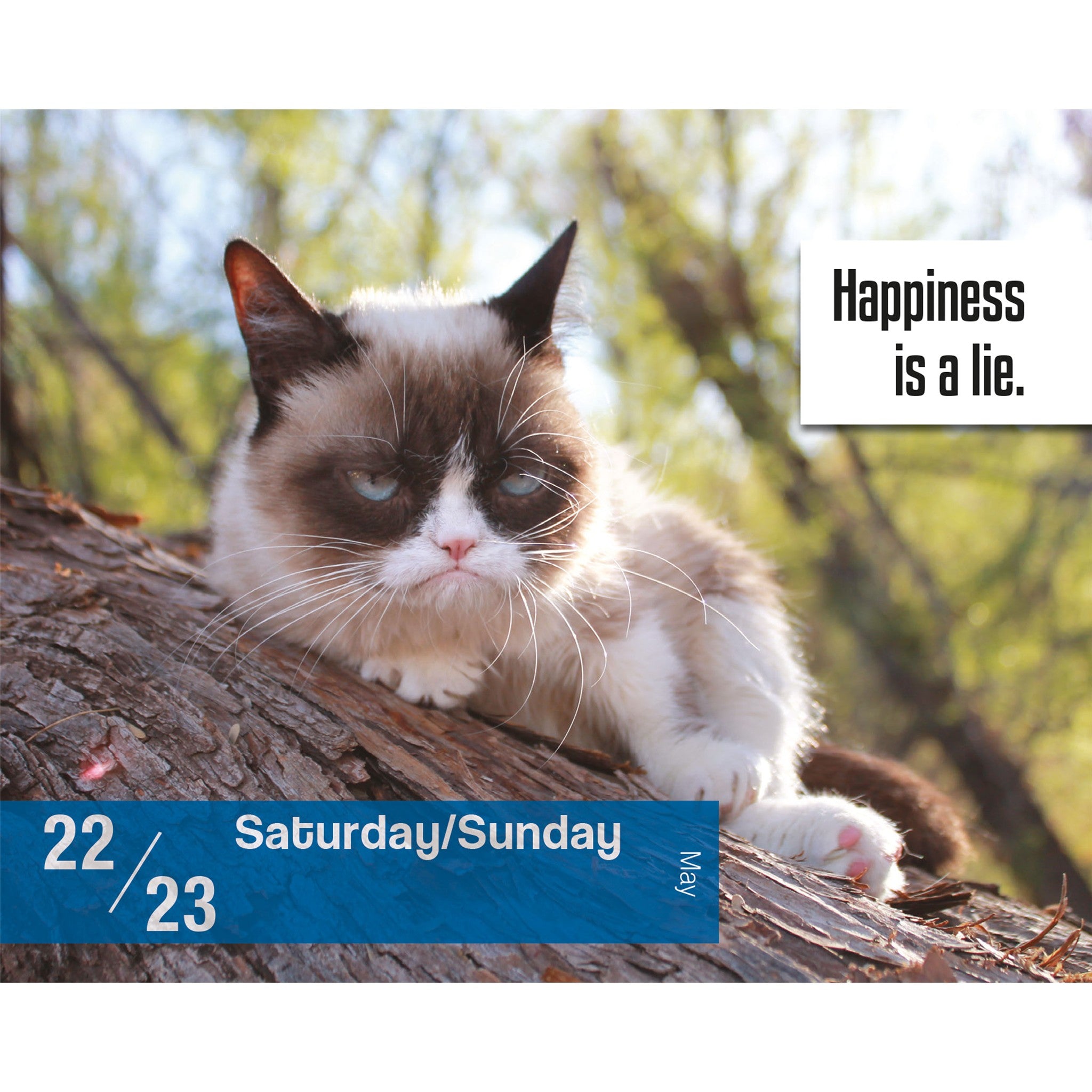 Grumpy Cat 2027 Box Calendar