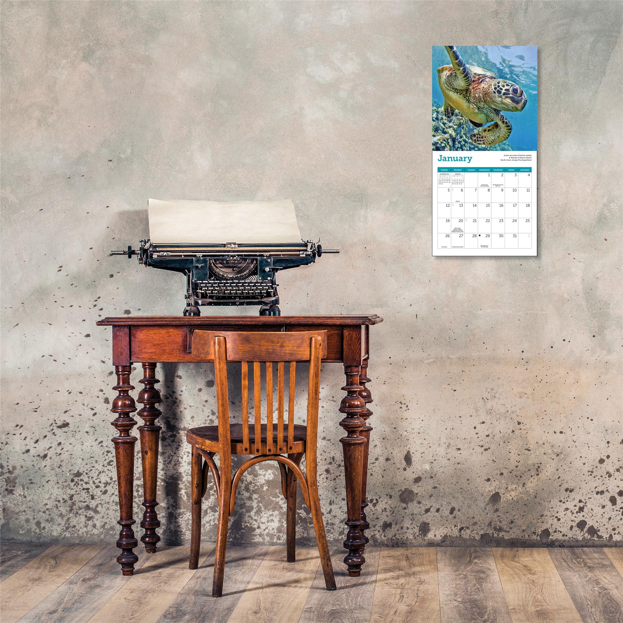 Sea Turtles Mini 2025 Calendar