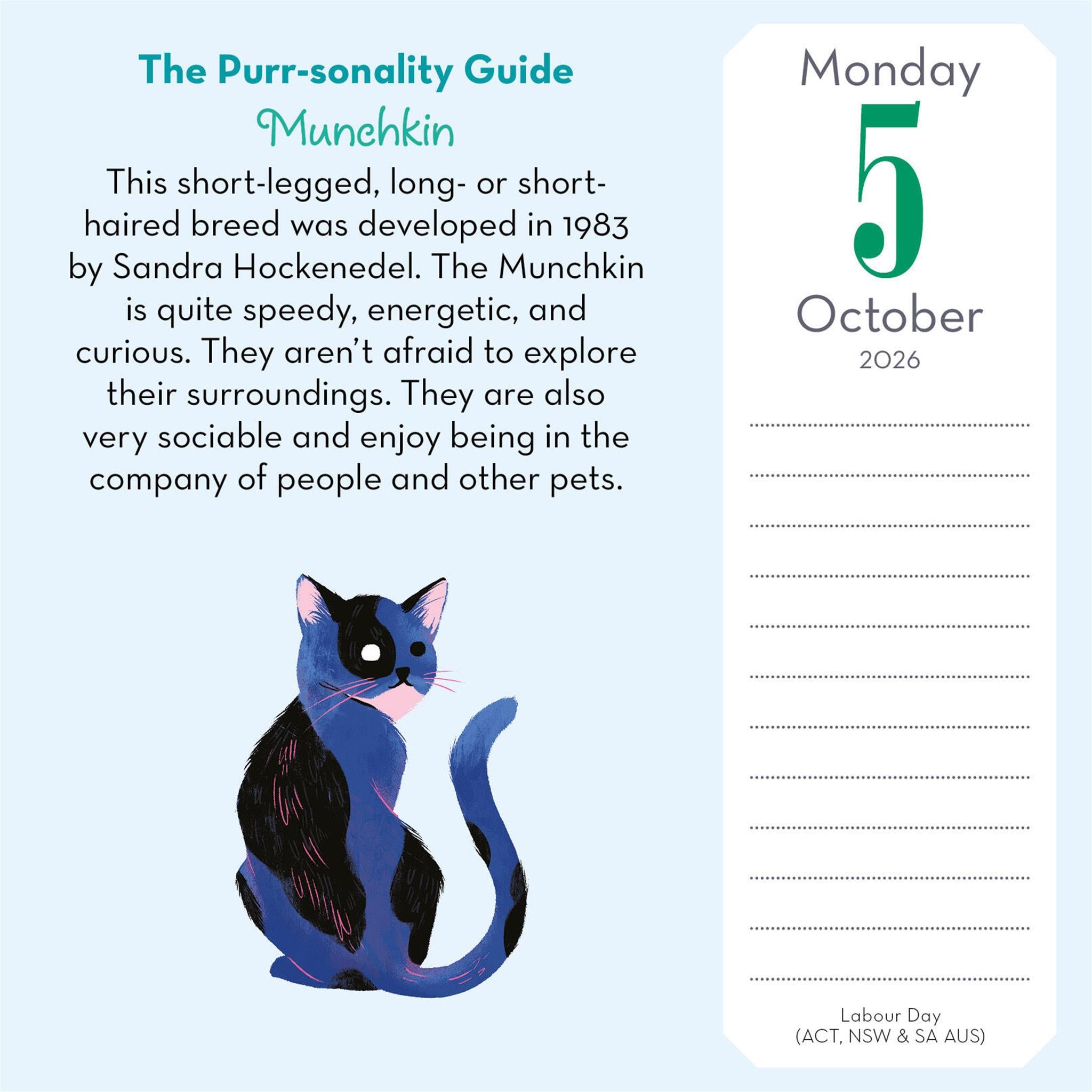 Cat Trivia 2026 Box Calendar