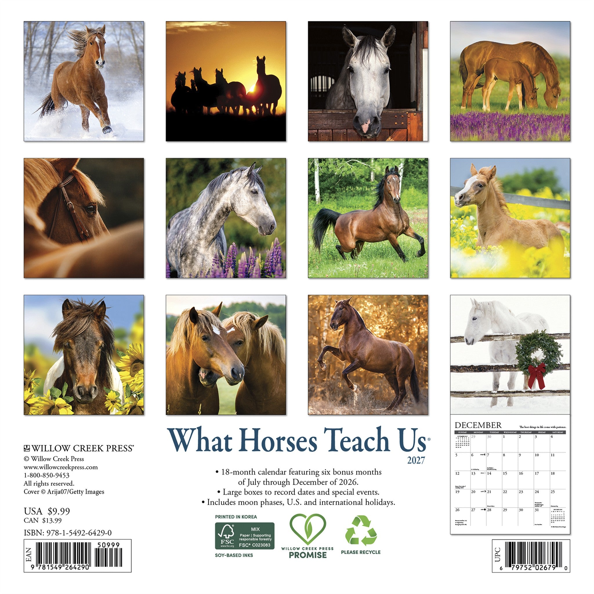 What Horses Teach Us 2027 Mini Calendar