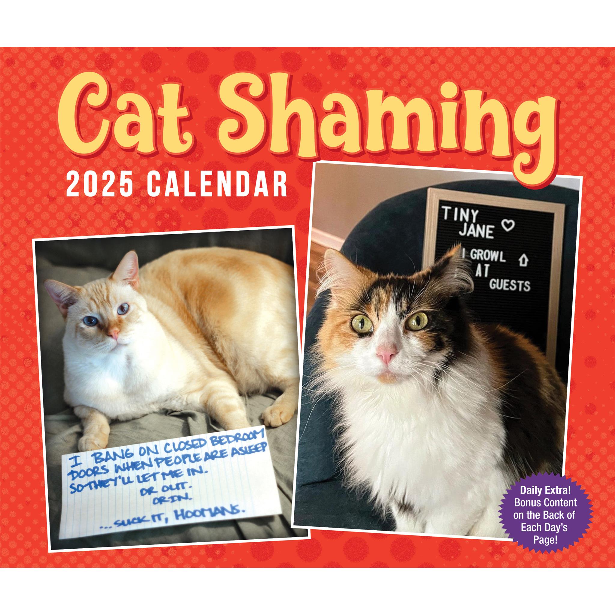 Cat Shaming Calendar 2025