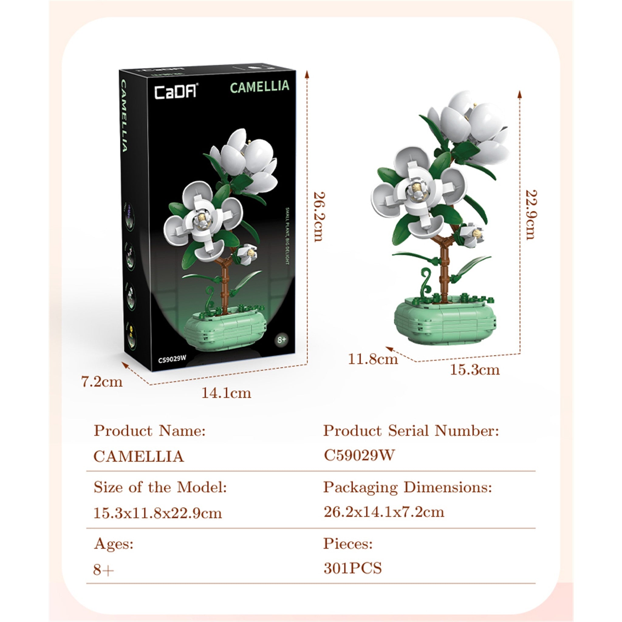 Camellia 301 Pieces