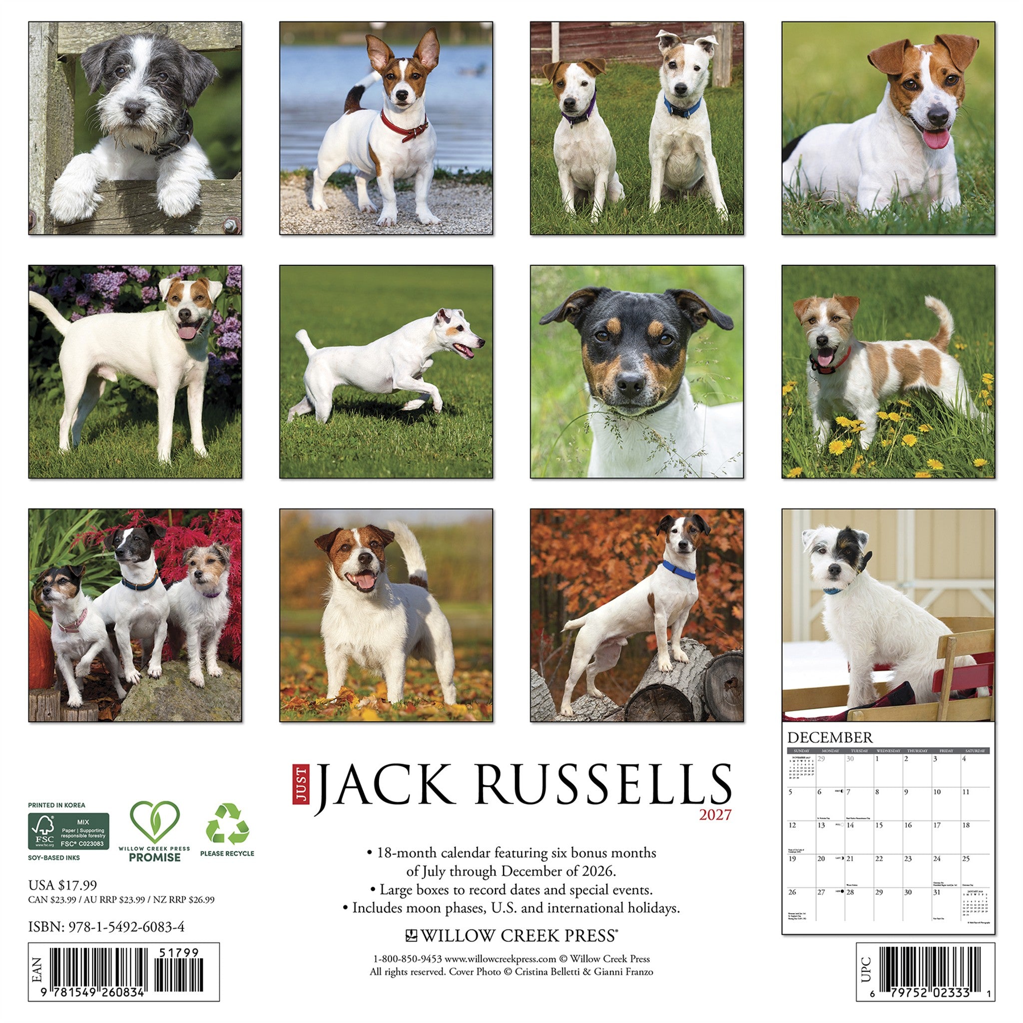 Jack Russells 2027 Wall Calendar