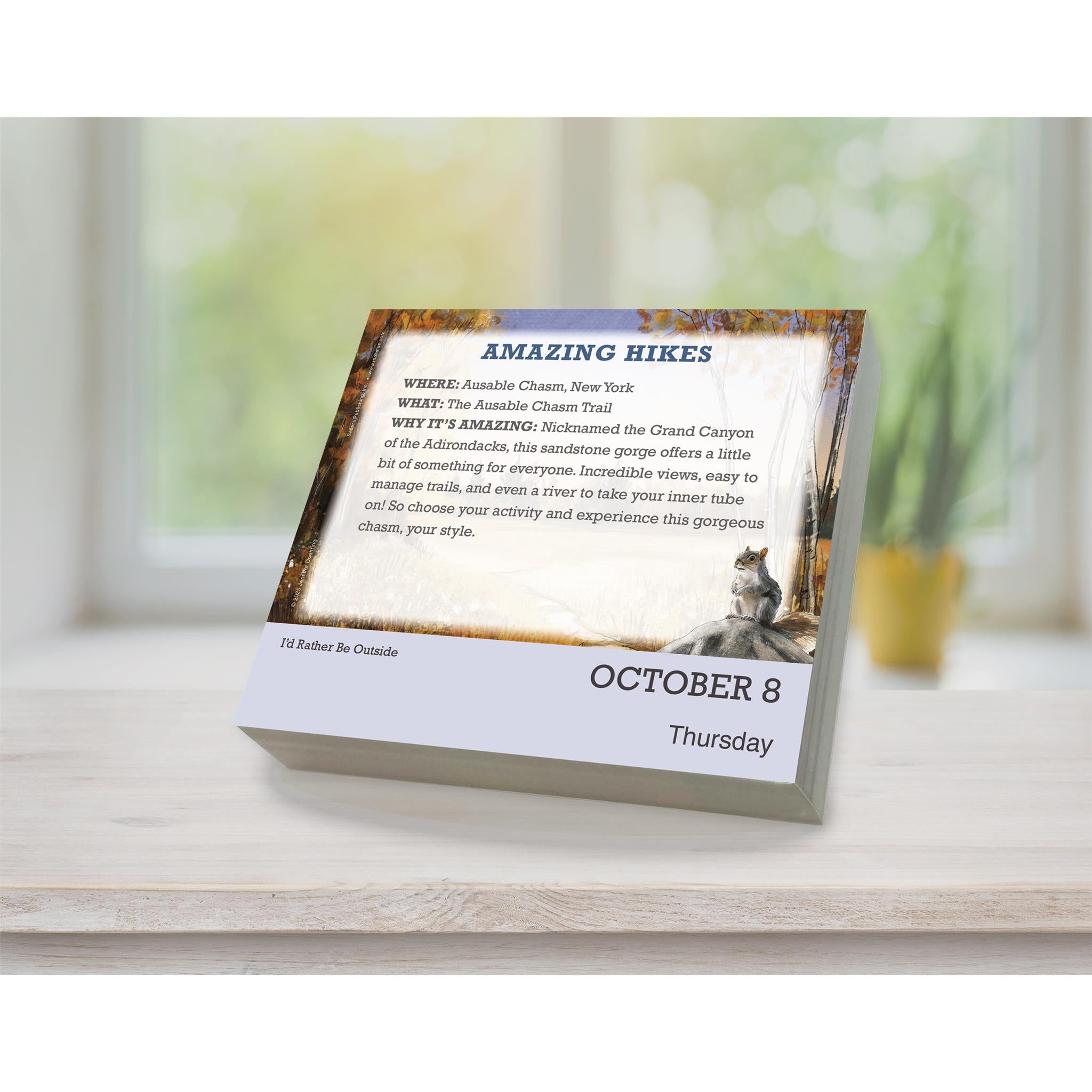 I'd Rather Be Outside 2026 Box Calendar - Online Only