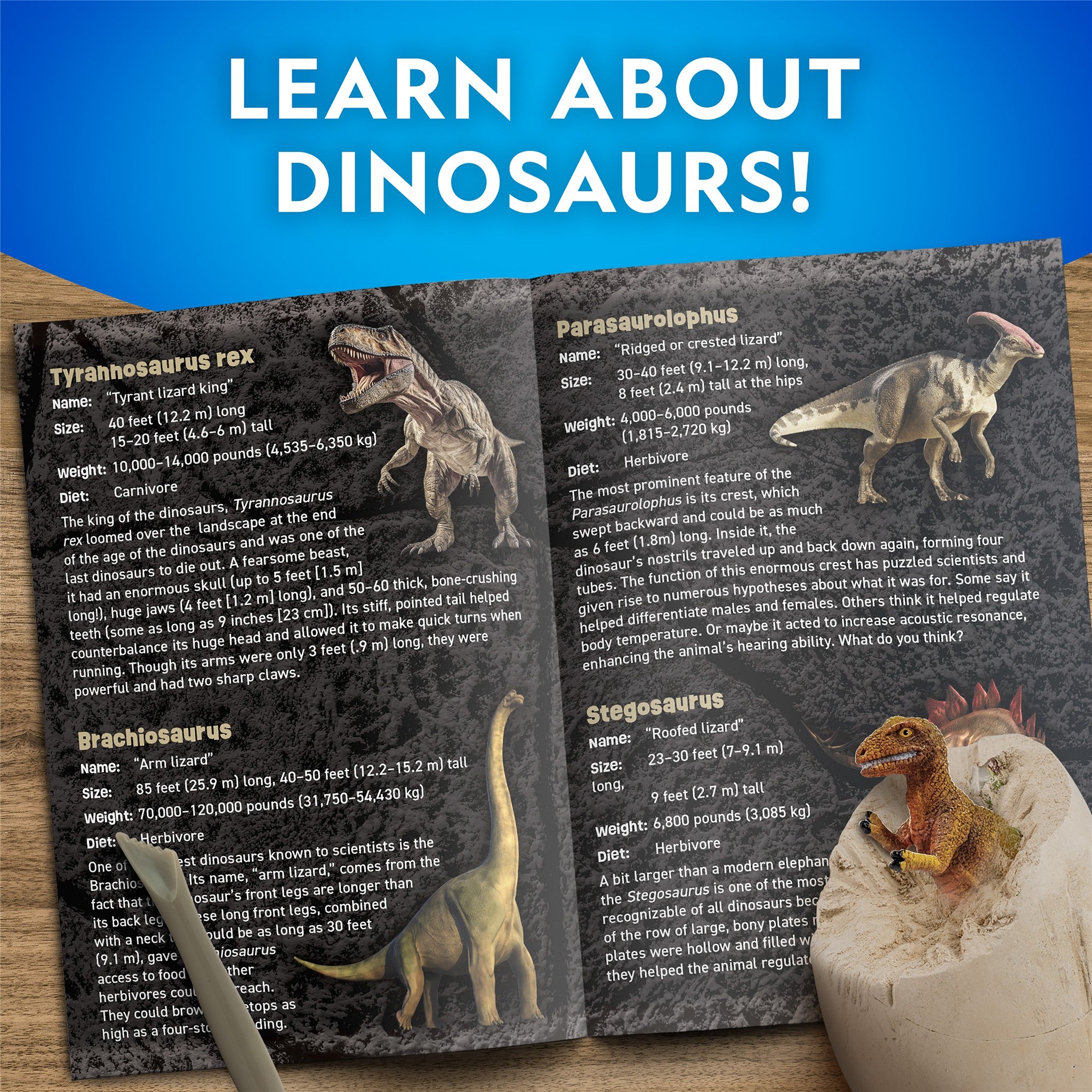 Dino Egg Dig Kit National Geographic