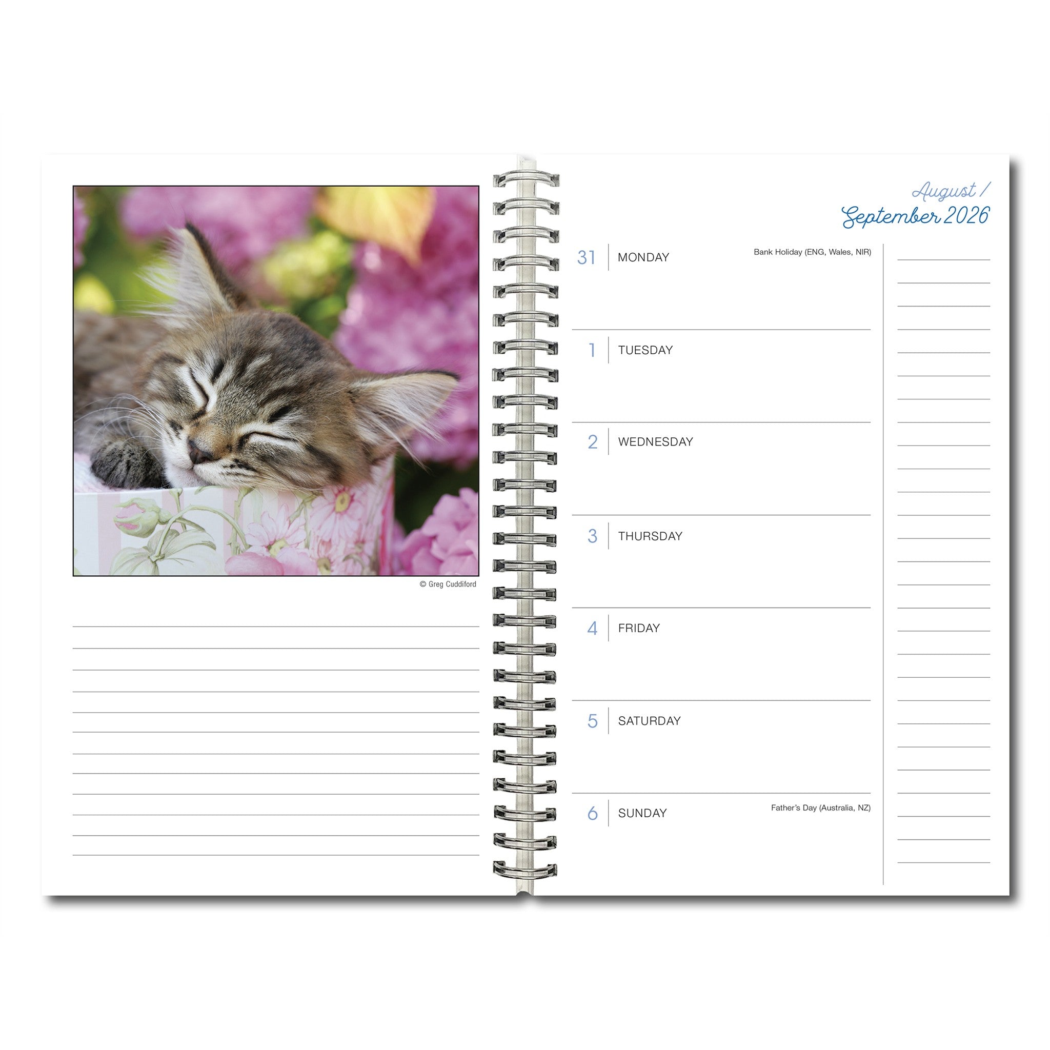 Cat Naps 2027 Engagement Calendar
