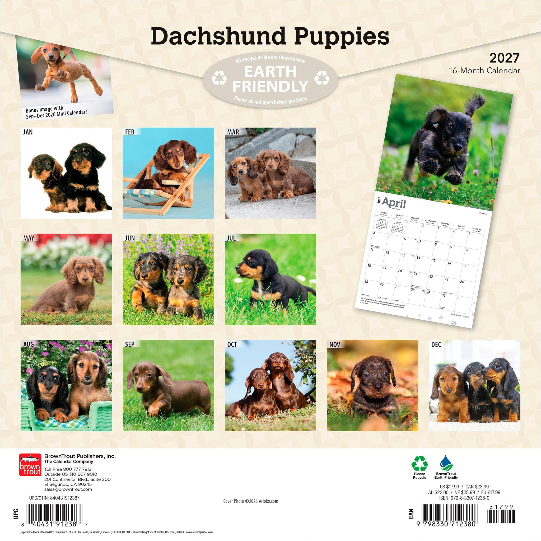 Dachshund Puppies 2027 Wall Calendar