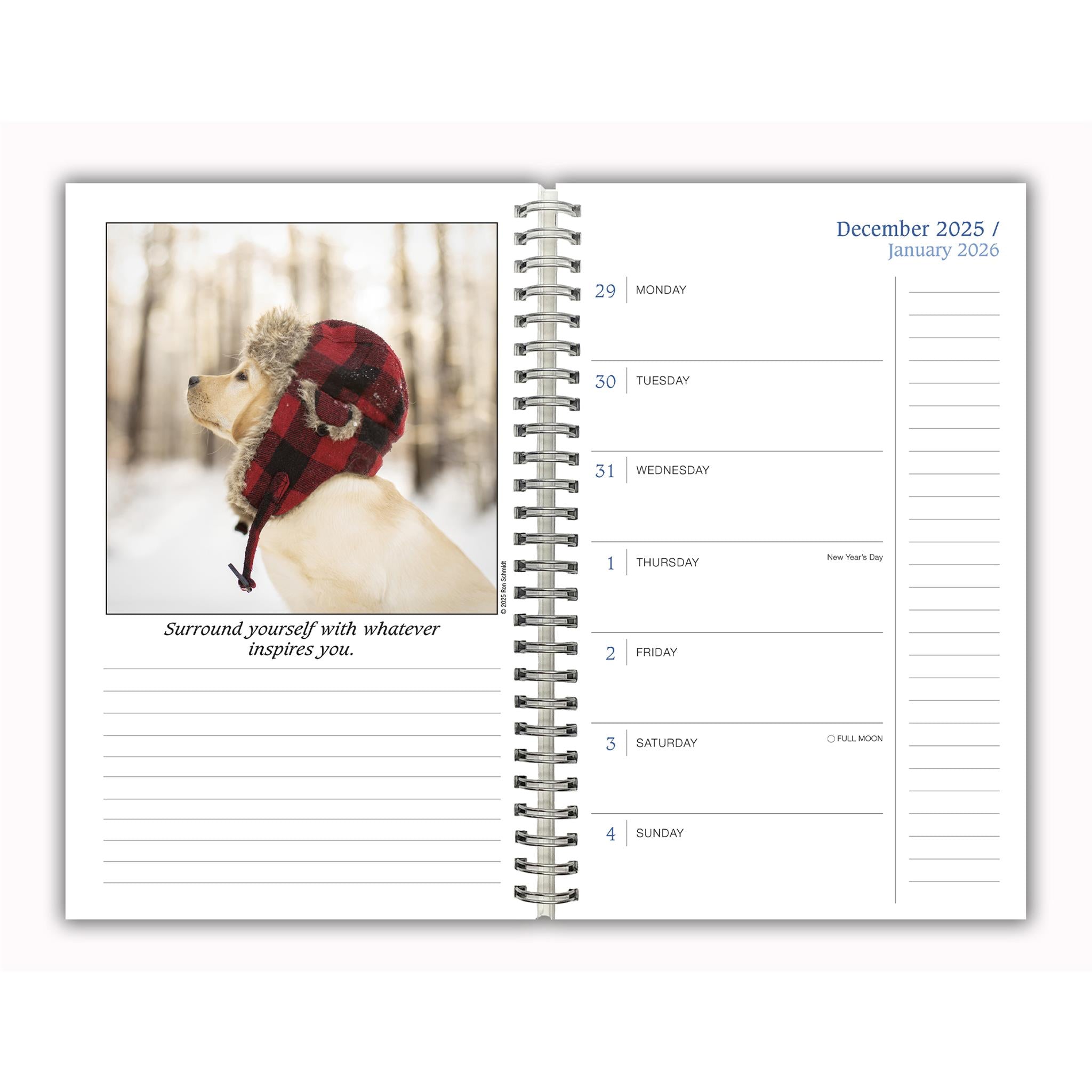 Dogma 2025-2026 Engagement Calendar