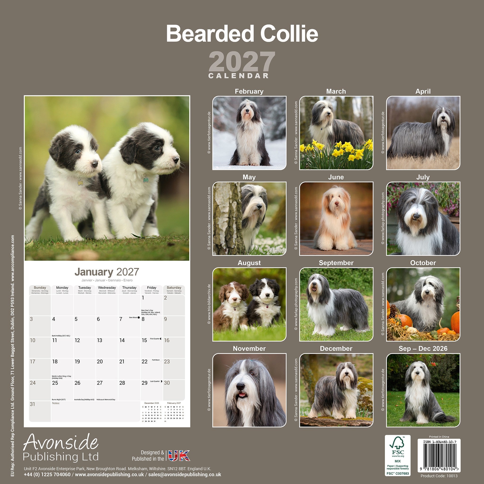 Bearded Collie 2027 Wall Calendar