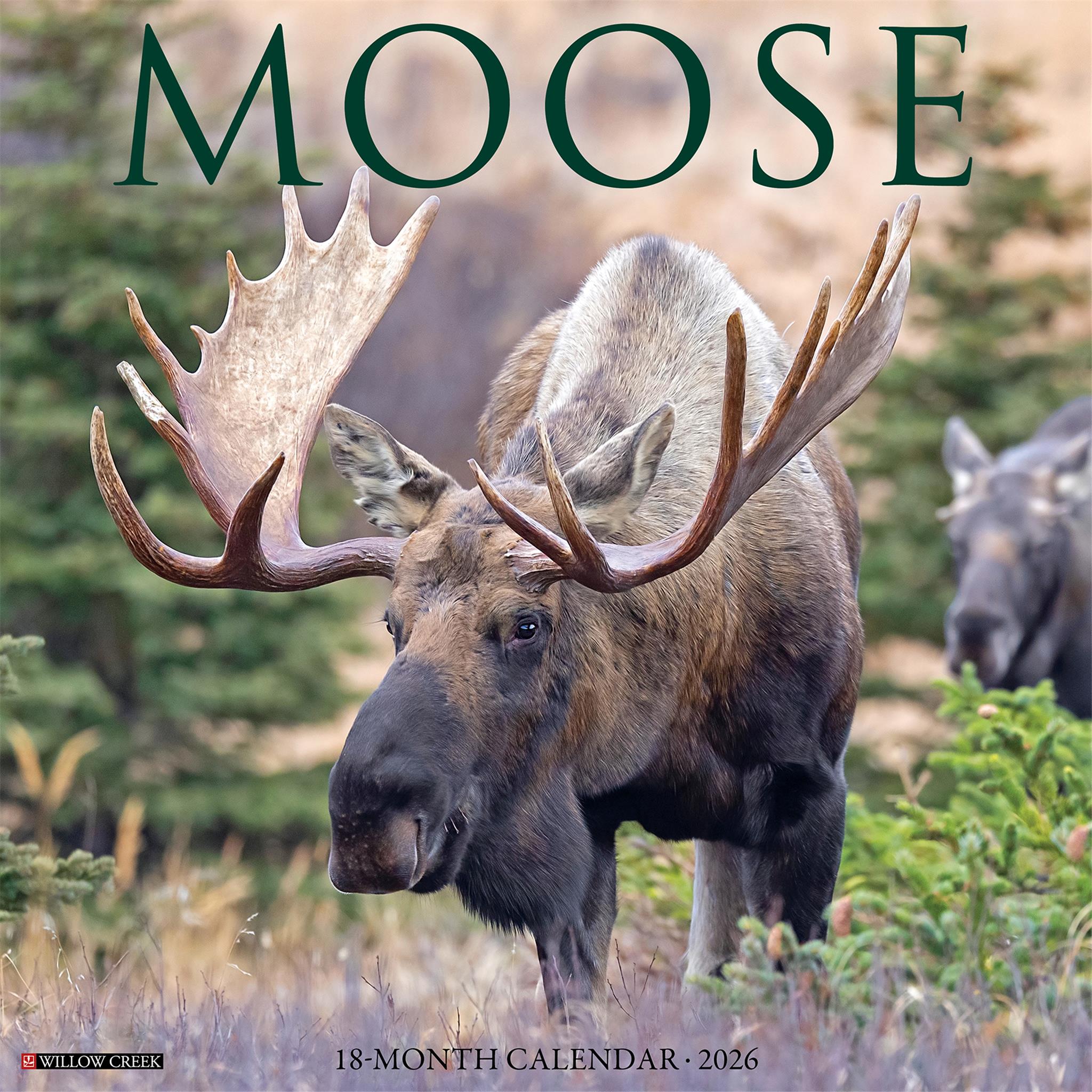 Moose 2026 Wall Calendar - Online Only