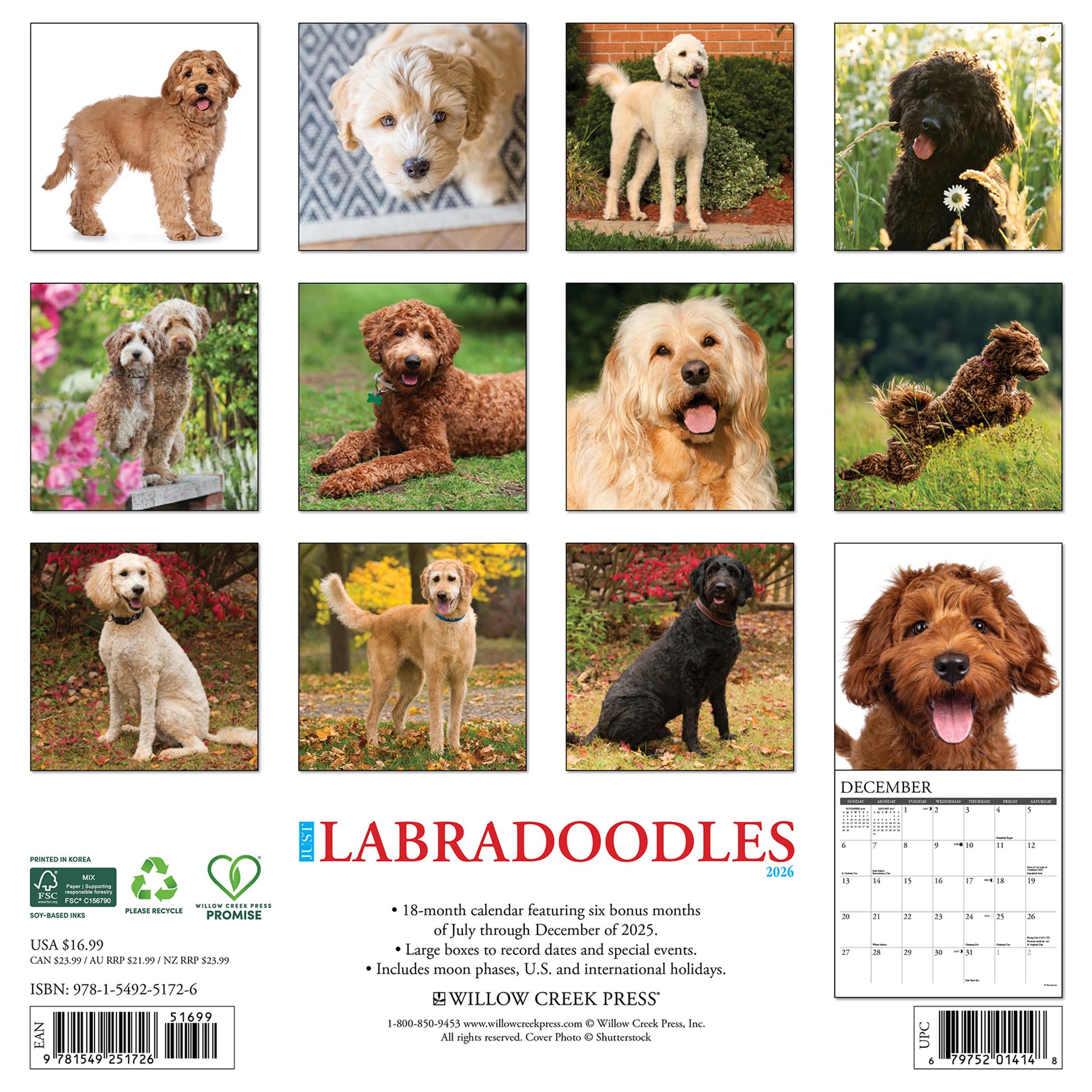 Just Labradoodles 2026 Wall Calendar