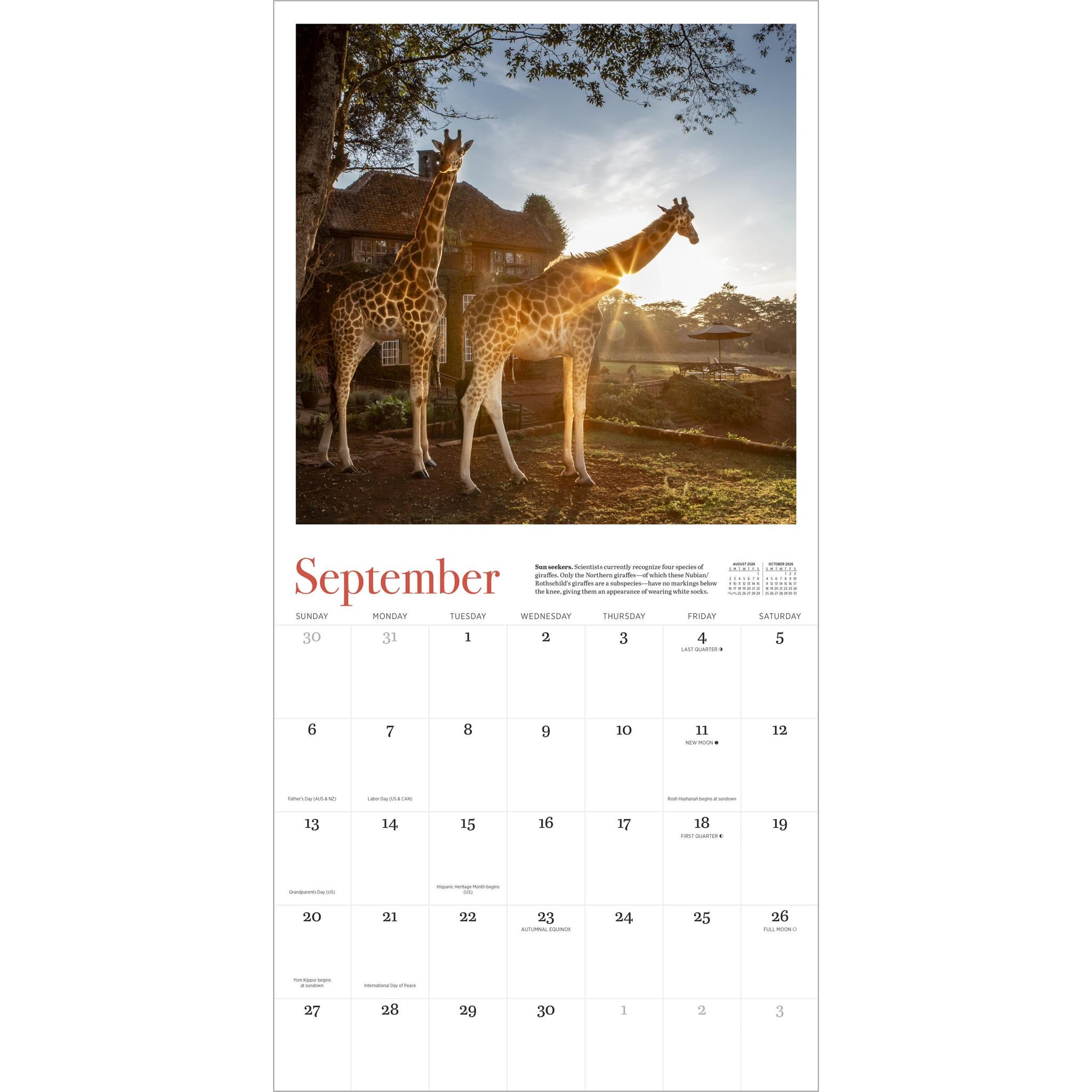 Giraffe Manor 2026 Wall Calendar - Online Only