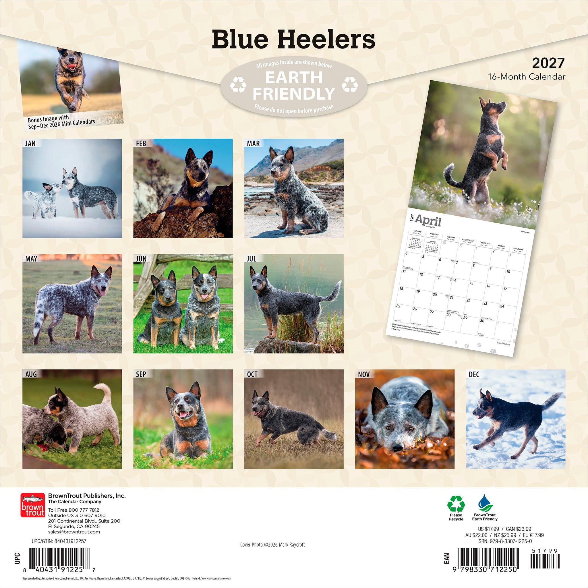 Blue Heelers 2027 Wall Calendar