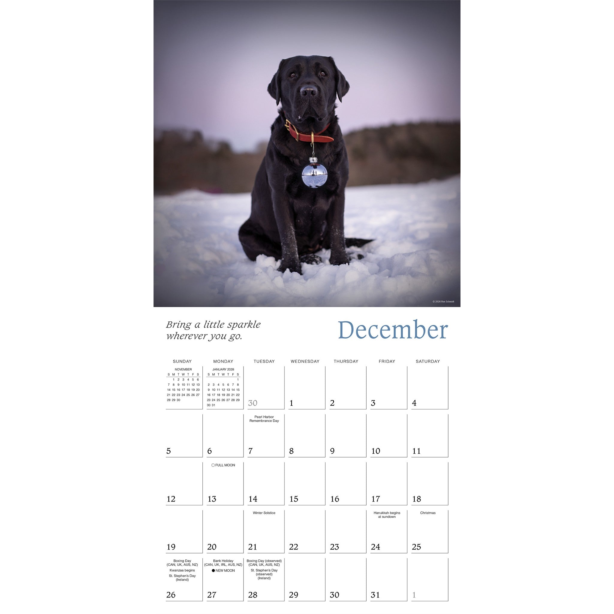 Dogma 2027 Wall Calendar
