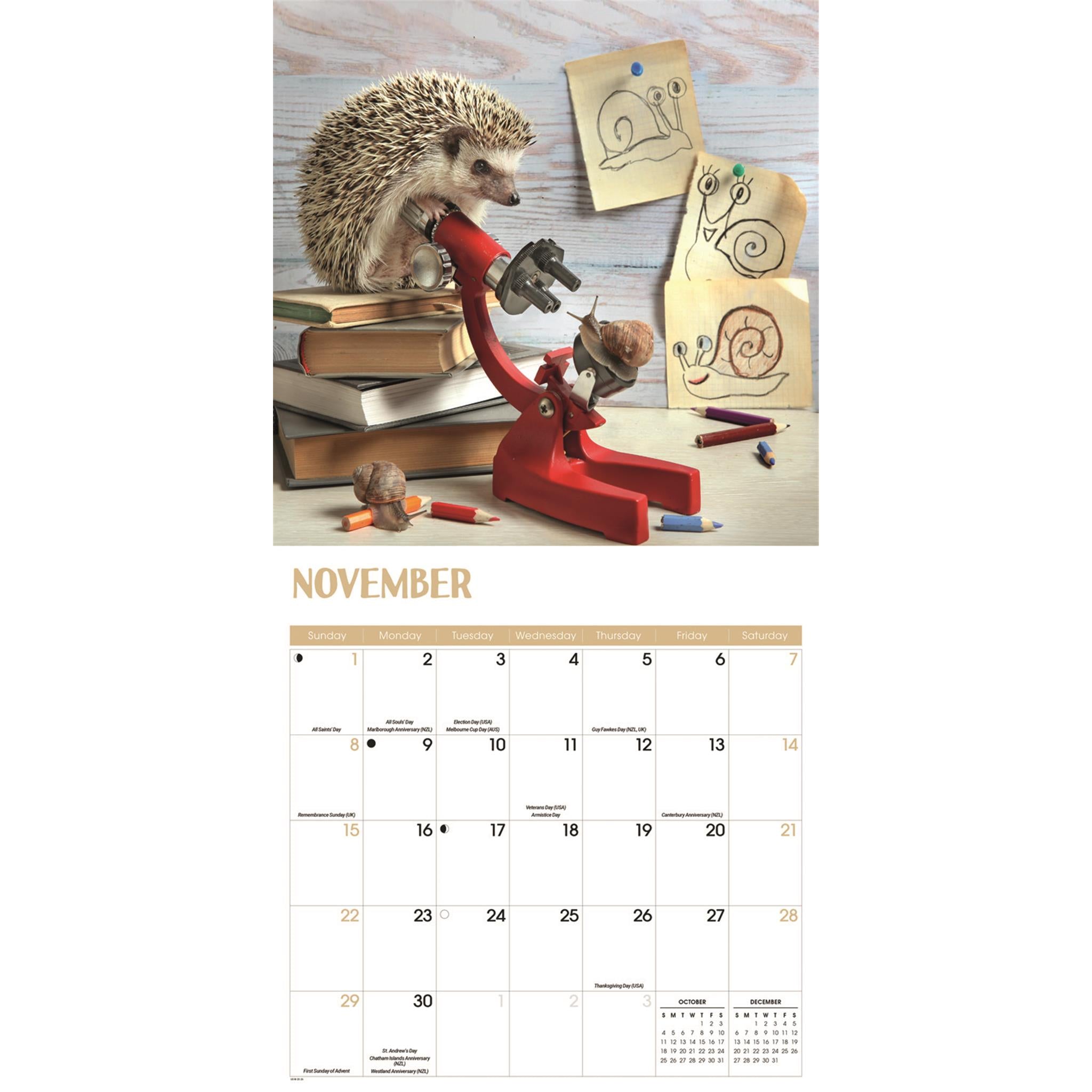Hedgehogs 2026 Wall Calendar