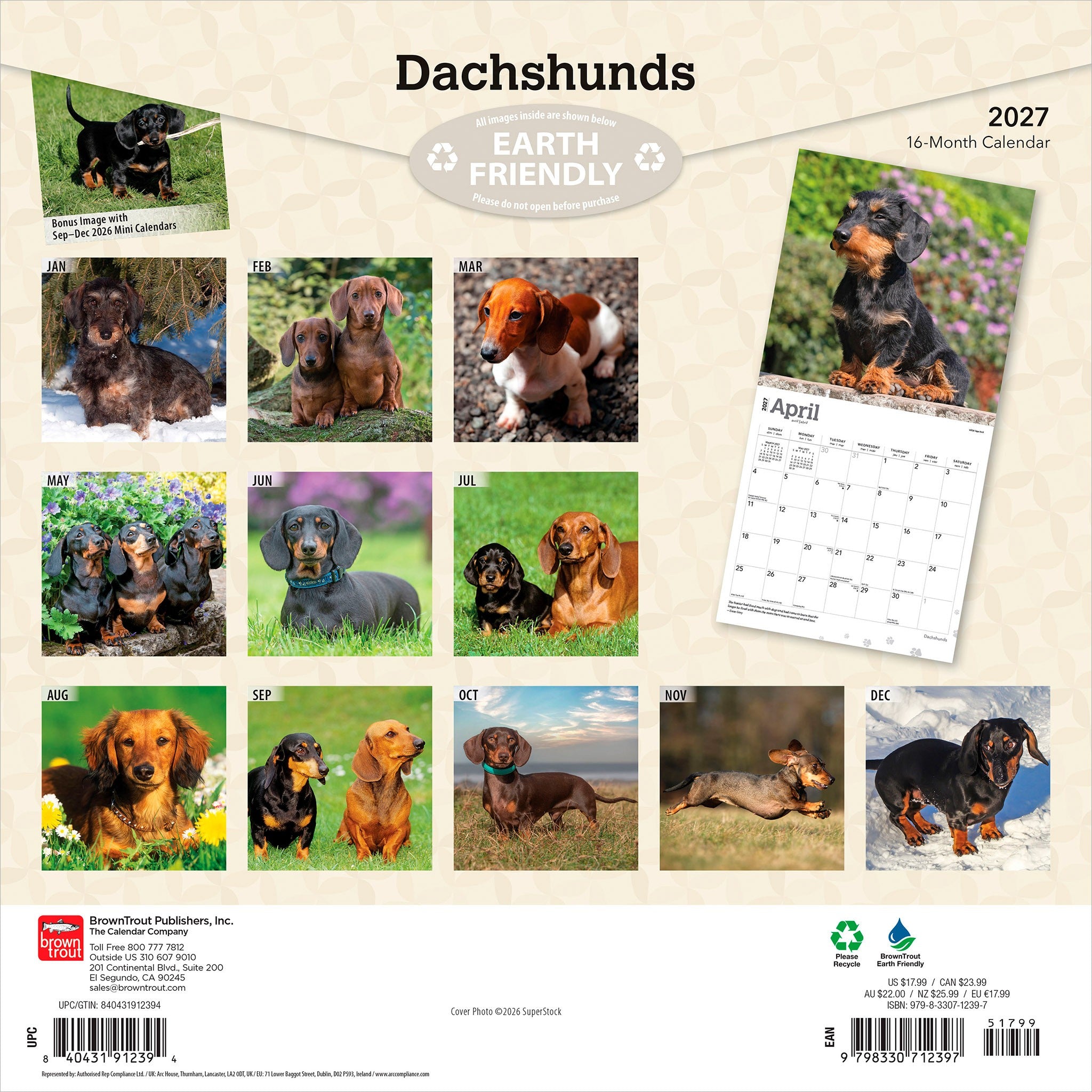 Dachshunds 2027 Wall Calendar