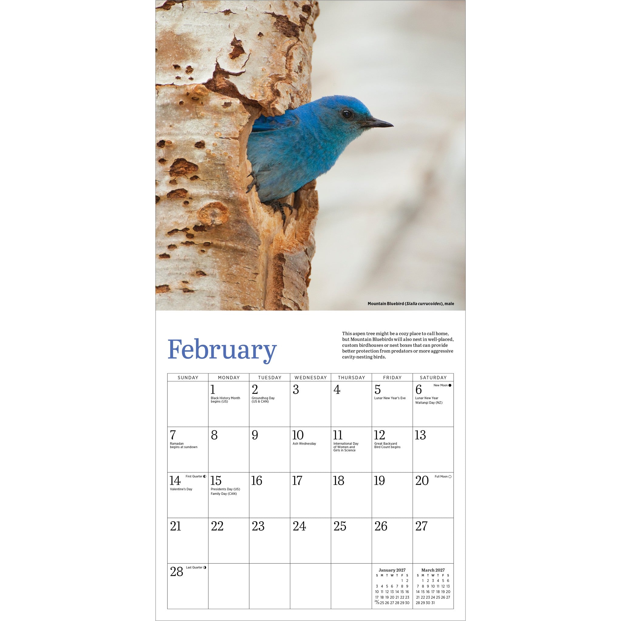 Audubon Bluebirds 2027 Mini Calendar - Online Only