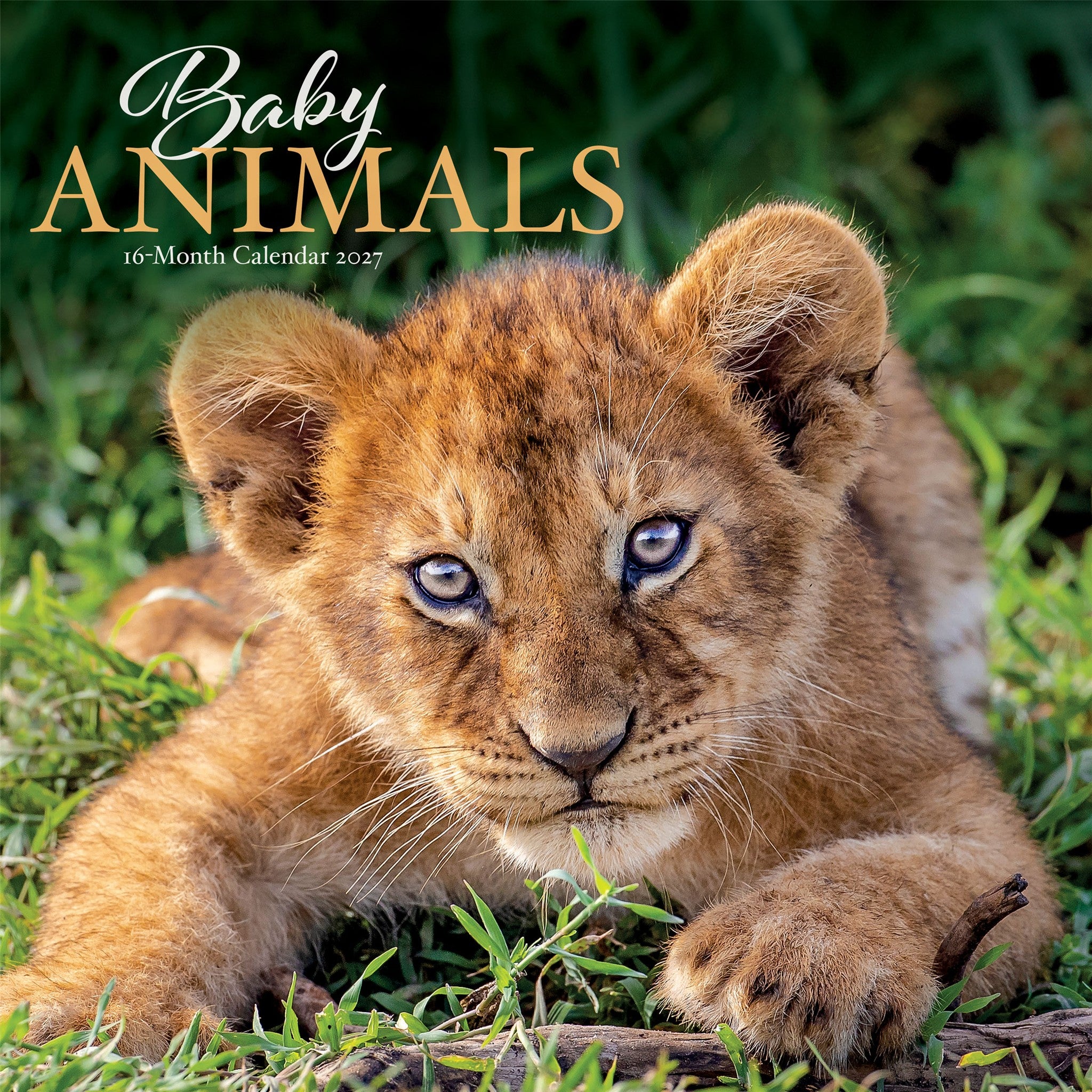 Baby Animals 2027 Wall Calendar