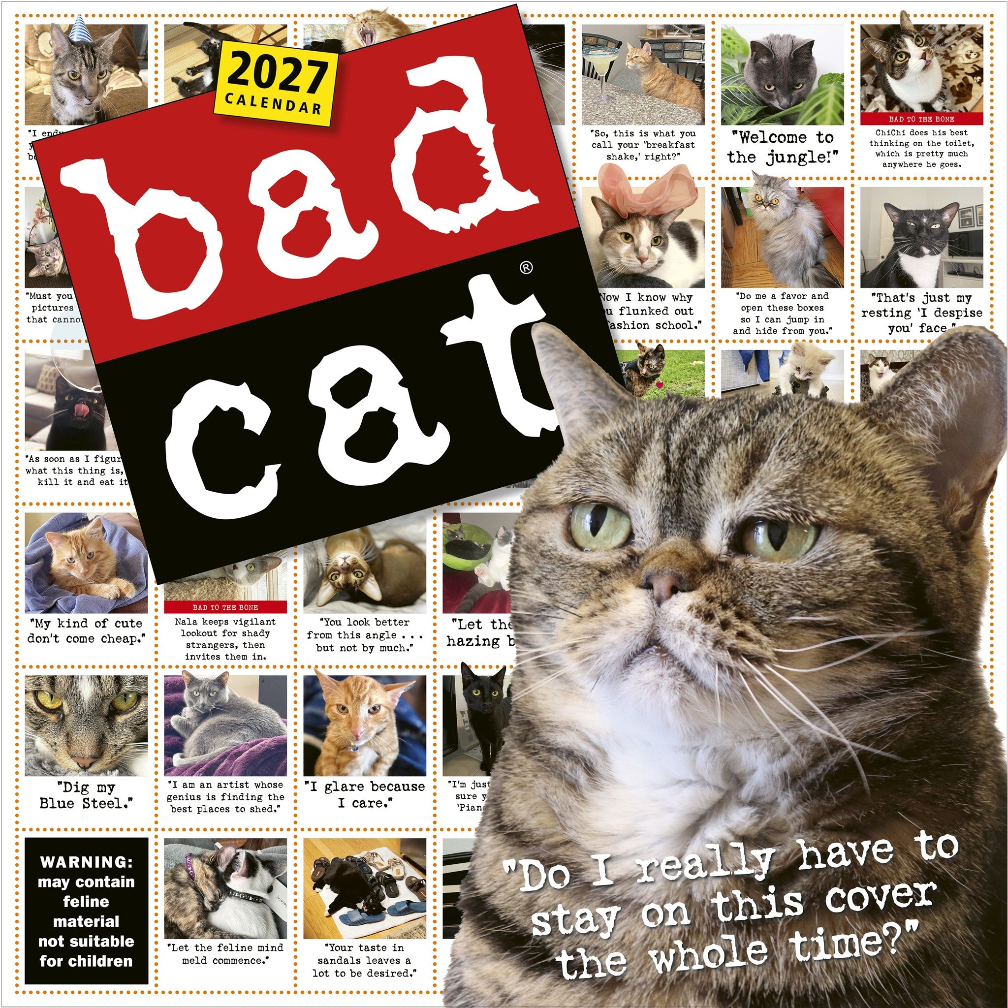 Bad Cat 2027 Wall Calendar - Online Only