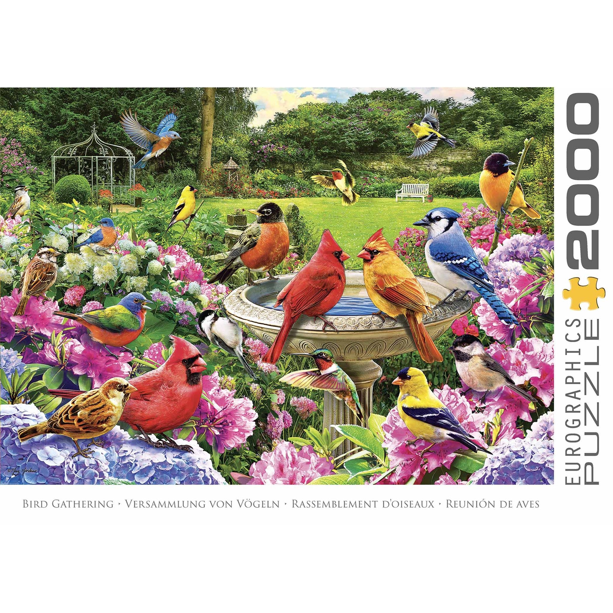 Bird Gathering 2000 Piece Puzzle