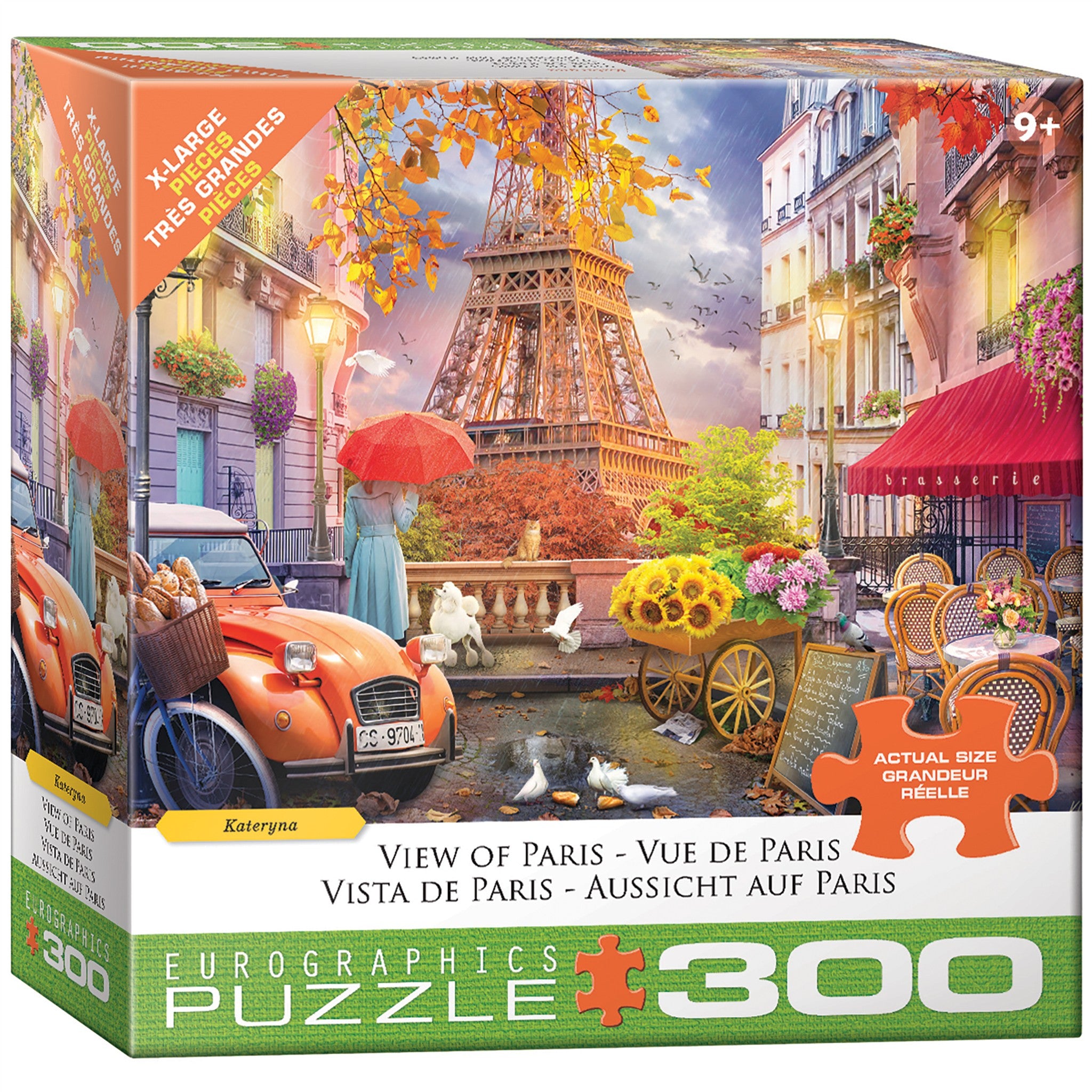 View of Paris 300 Piece Puzzle