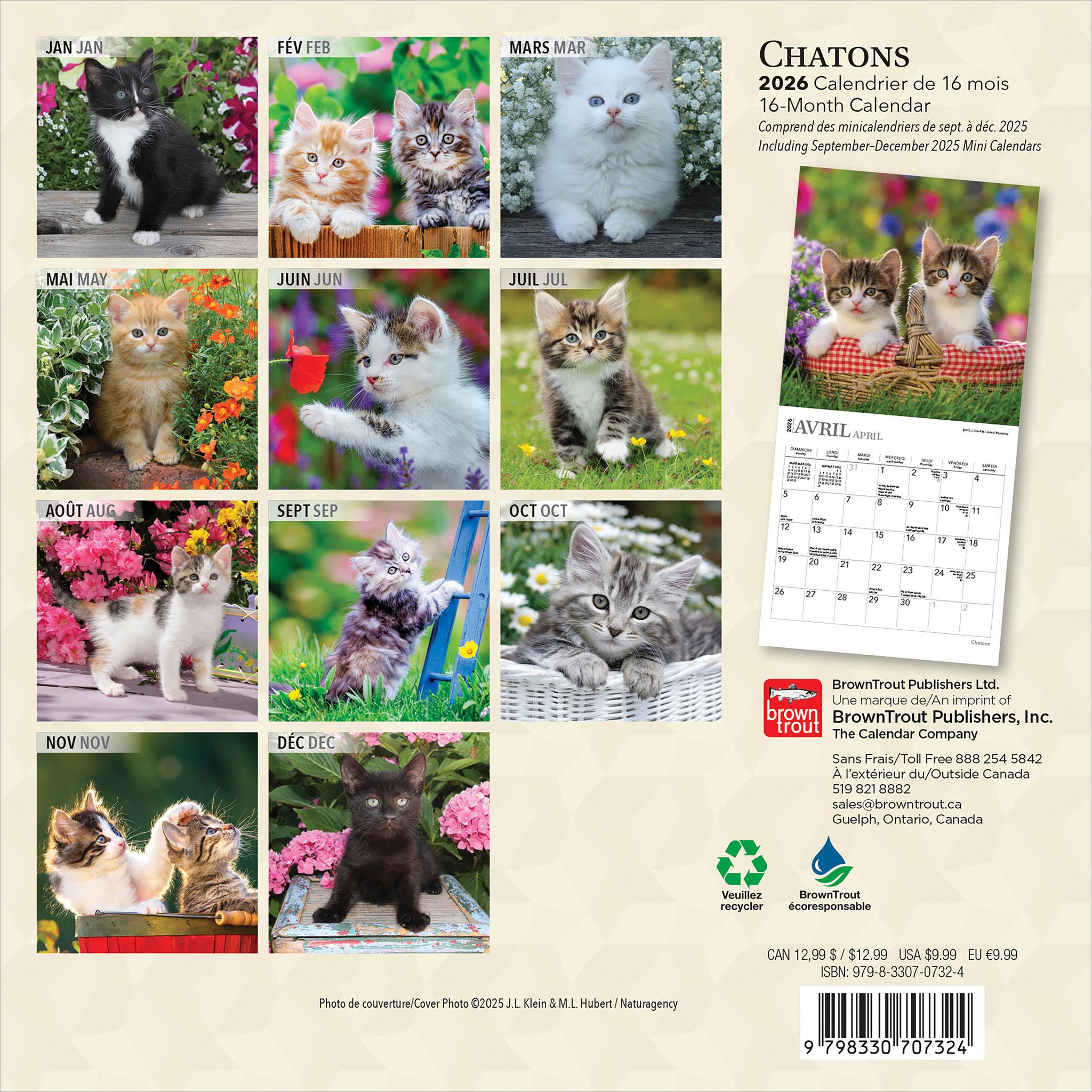 Chatons 2026 Mini Calendar (French)