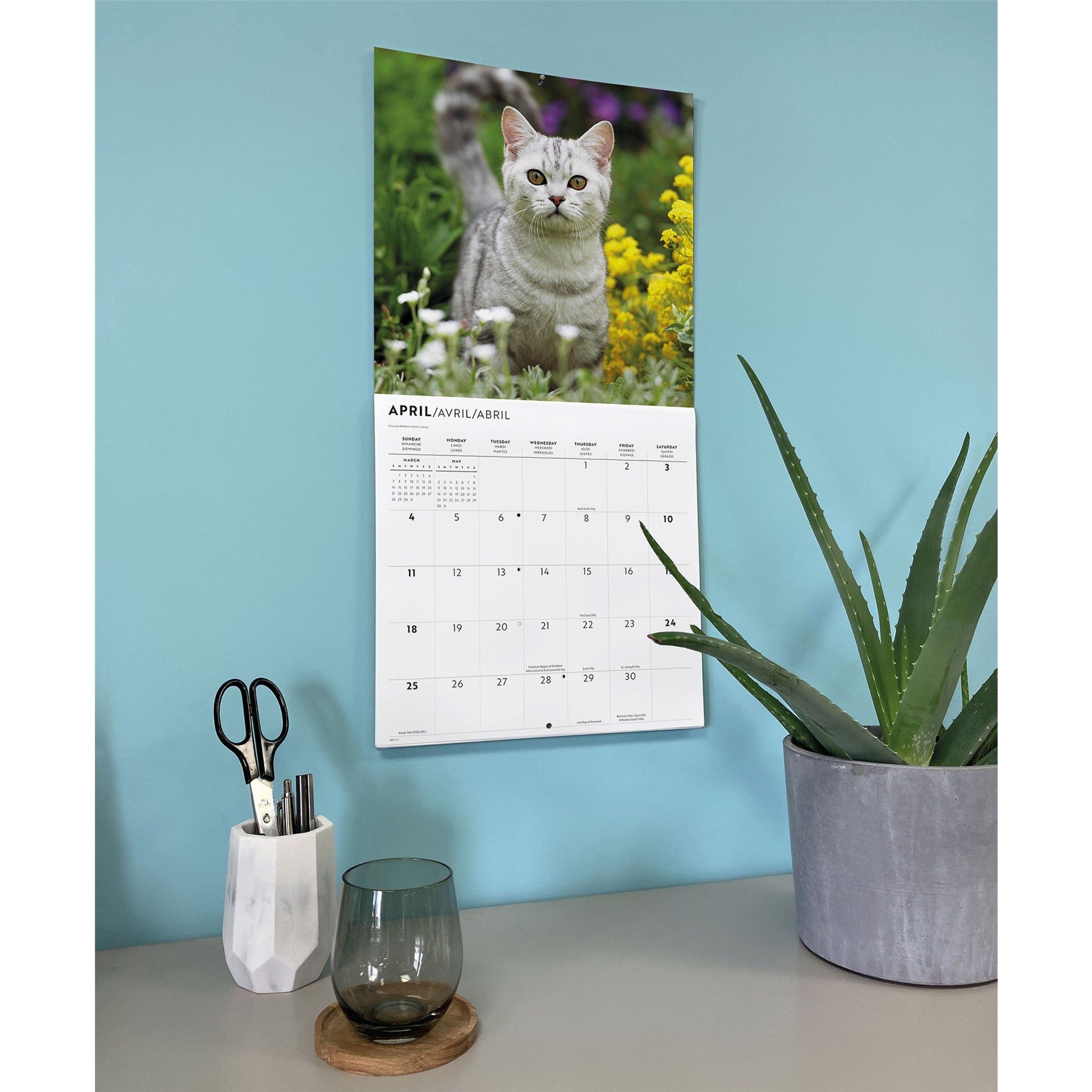 Love of Cats 2027 Wall Calendar