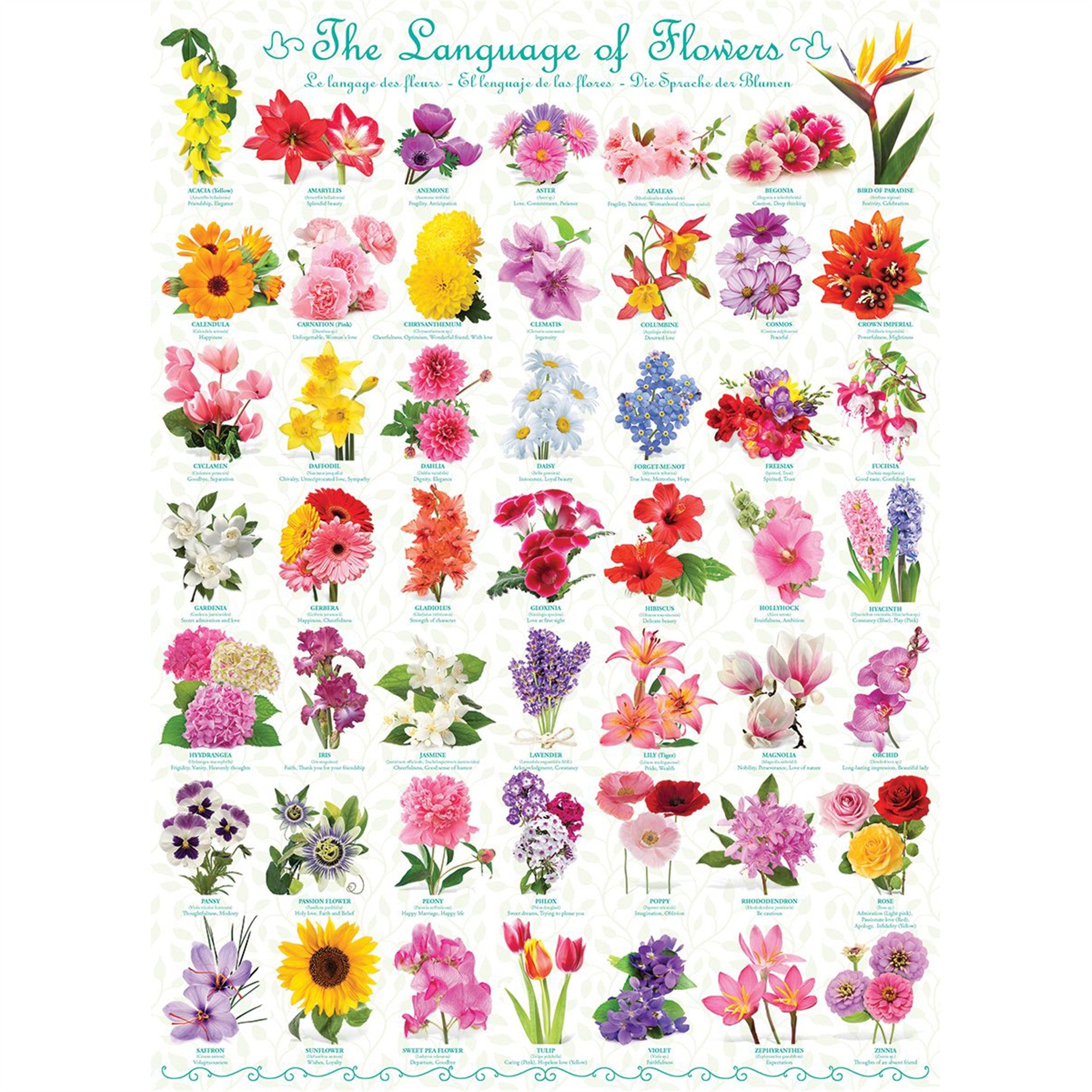 The Language of Flowers 1000 Piece Puzzle - Online Only