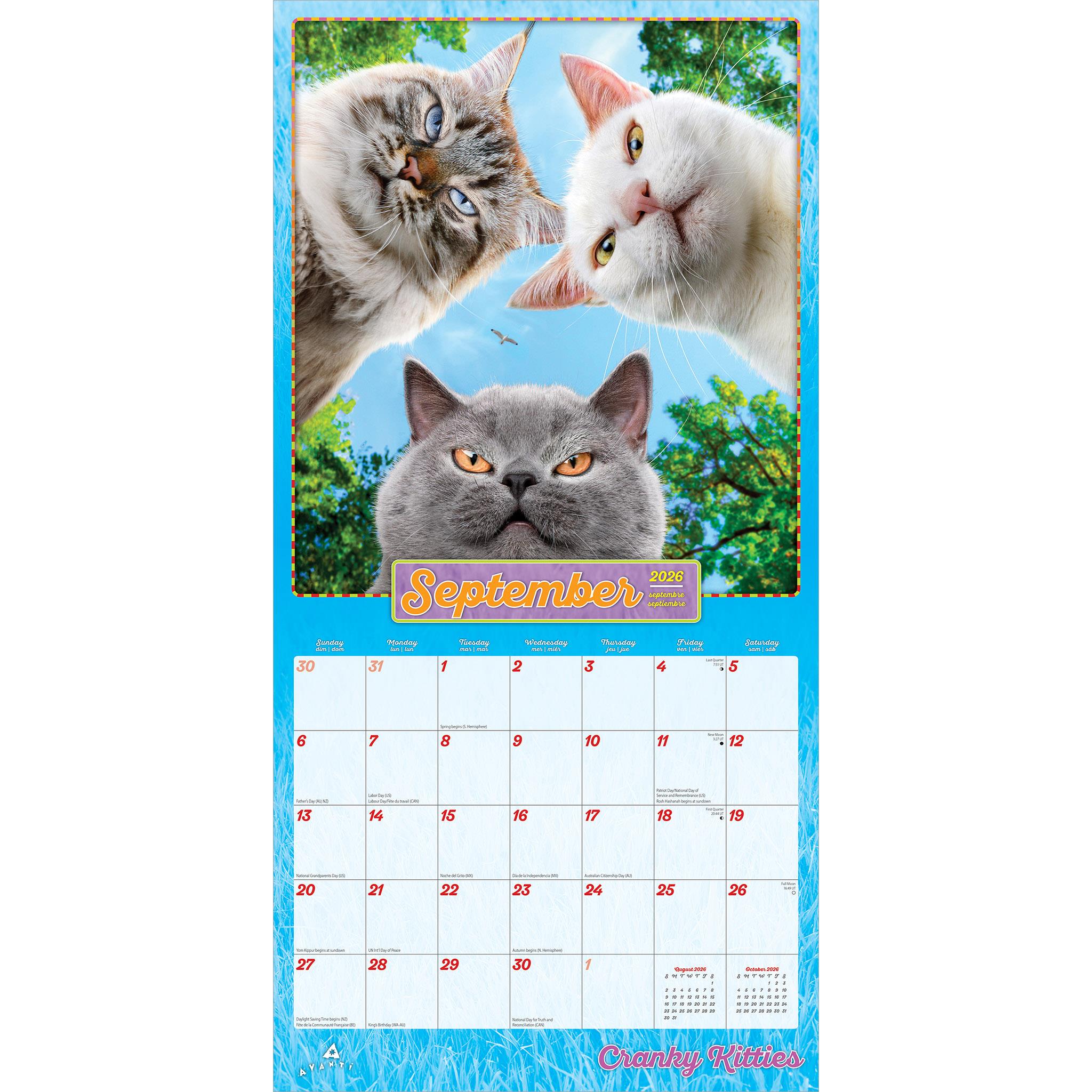 Avanti Cranky Kitties 2026 Wall Calendar - Online Exclusive