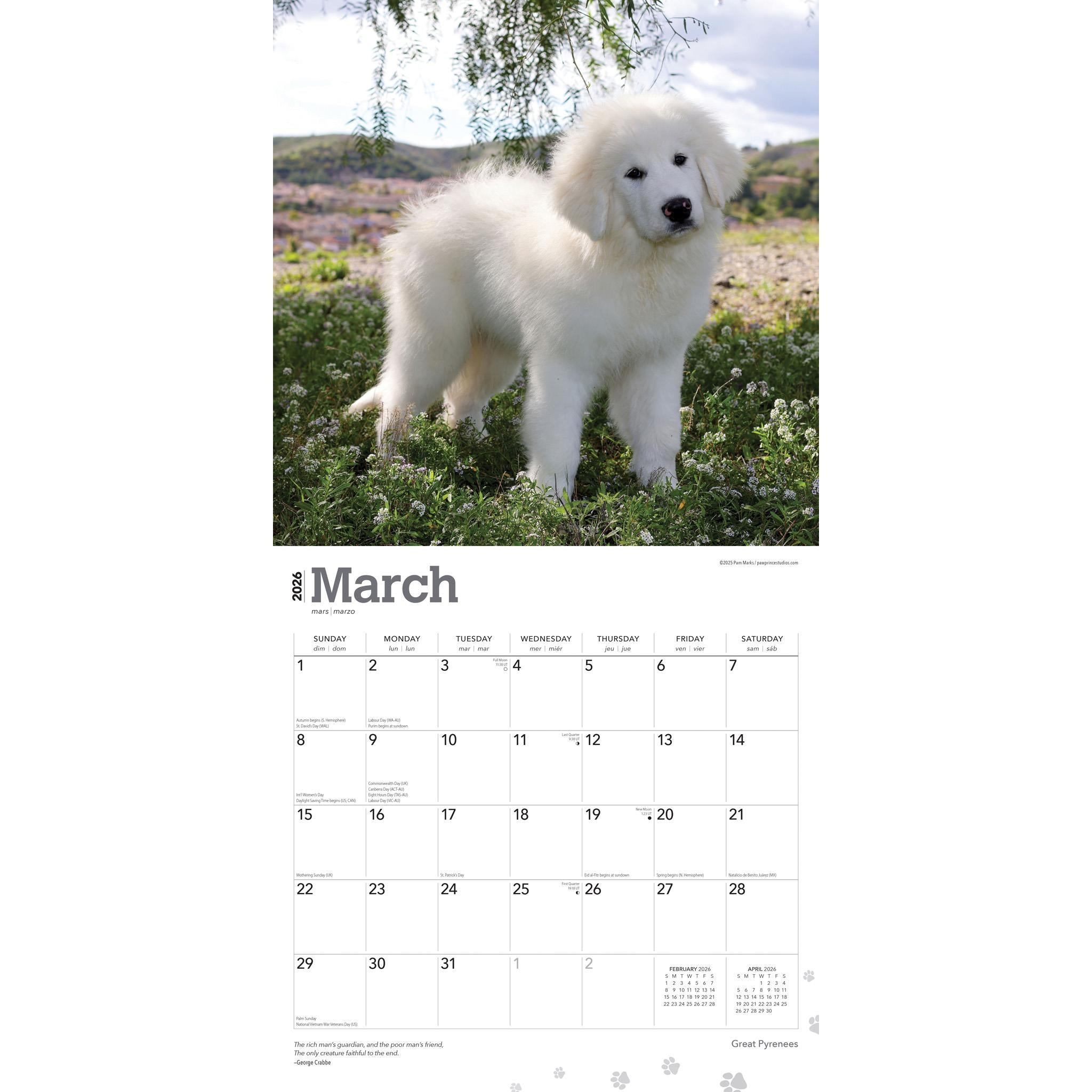 Great Pyrenees 2026 Wall Calendar