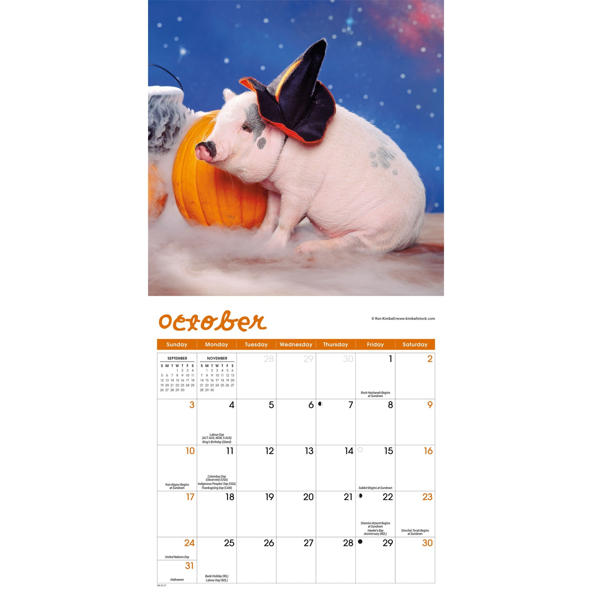 Playful Pigs 2027 Mini Calendar