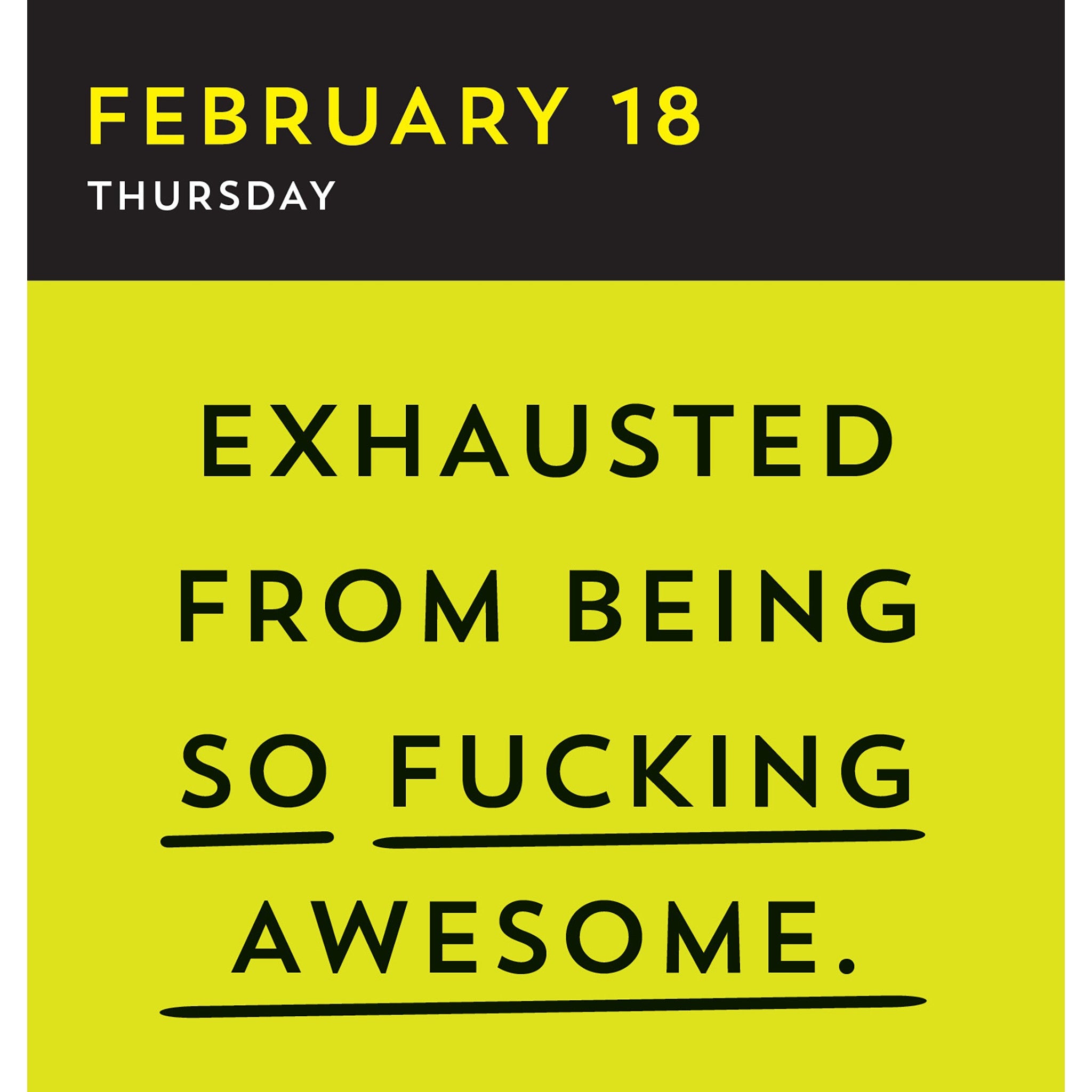 A Fucking Calendar 2027 Box Calendar