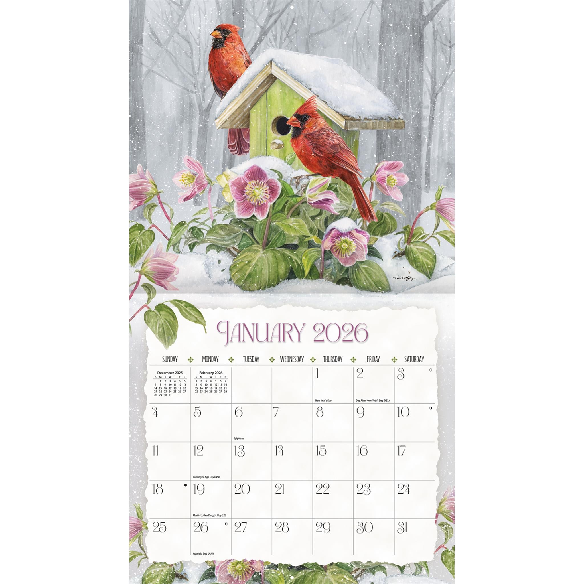 Birdhouses 2026 Deluxe Wall Calendar - Online Only