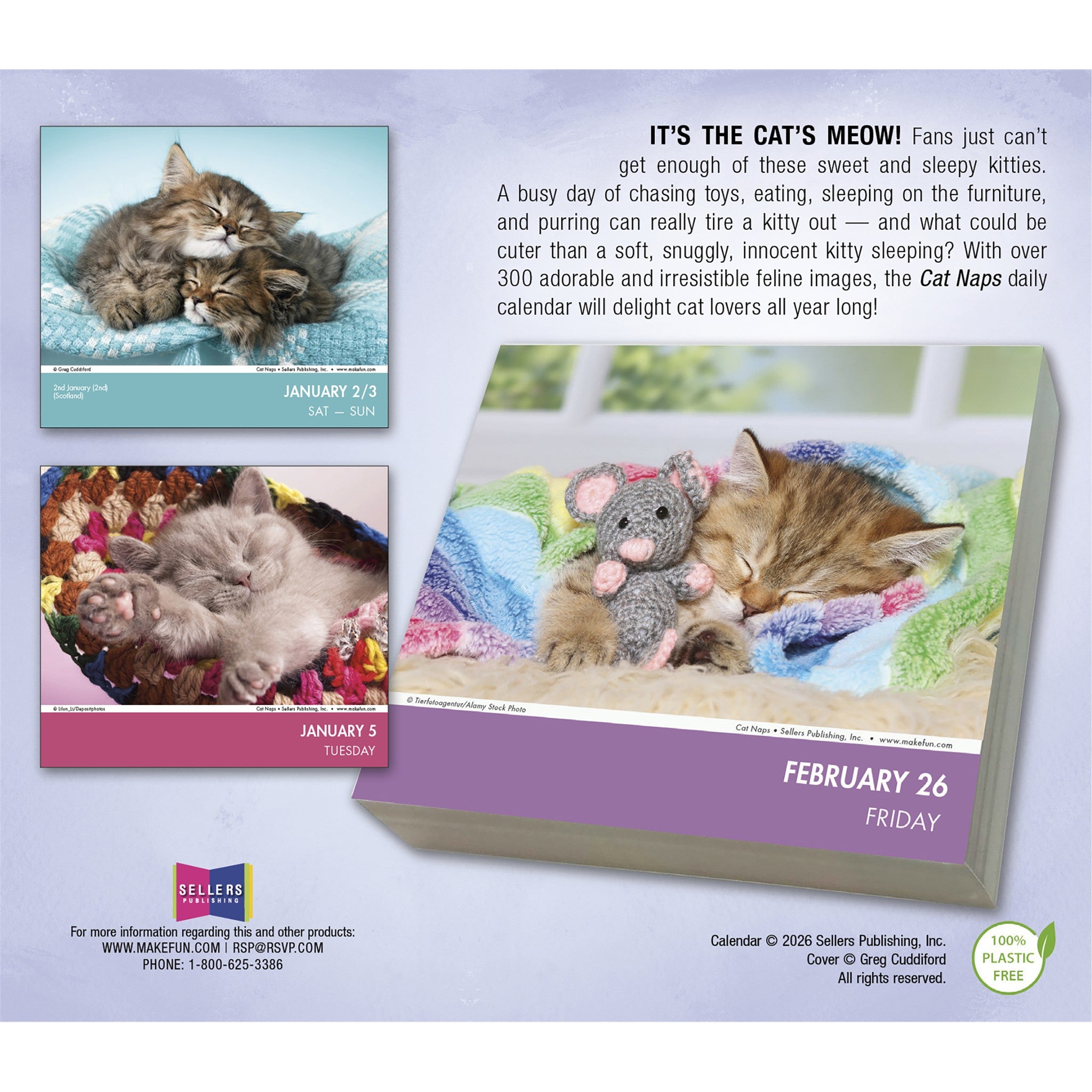 Cat Naps 2027 Box Calendar