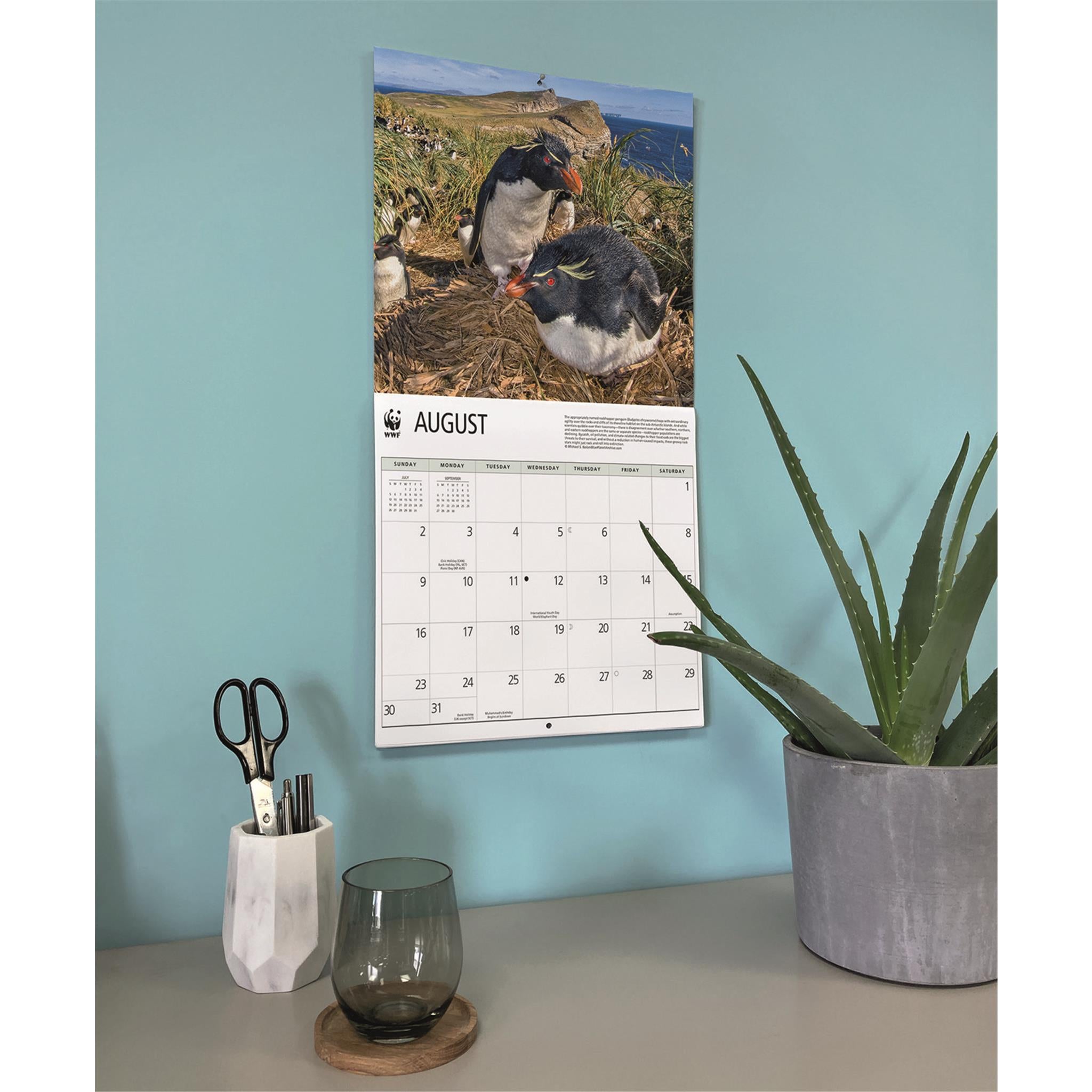 World Wildlife Fund Penguins 2026 Wall Calendar