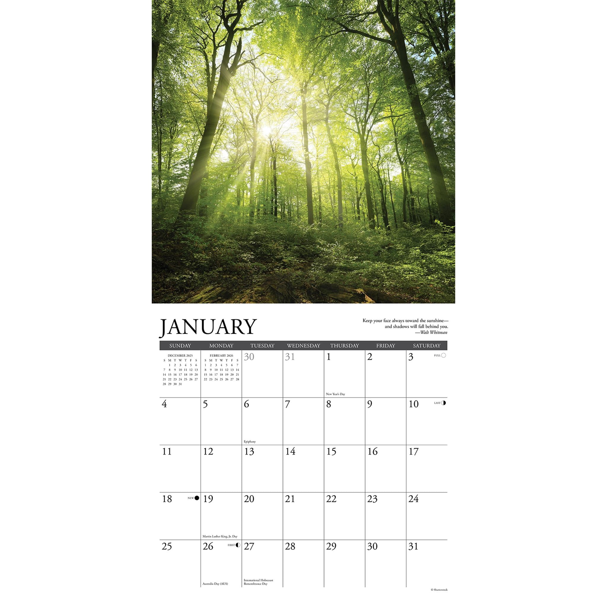 Heaven Has A Forest 2026 Wall Calendar - Online Only