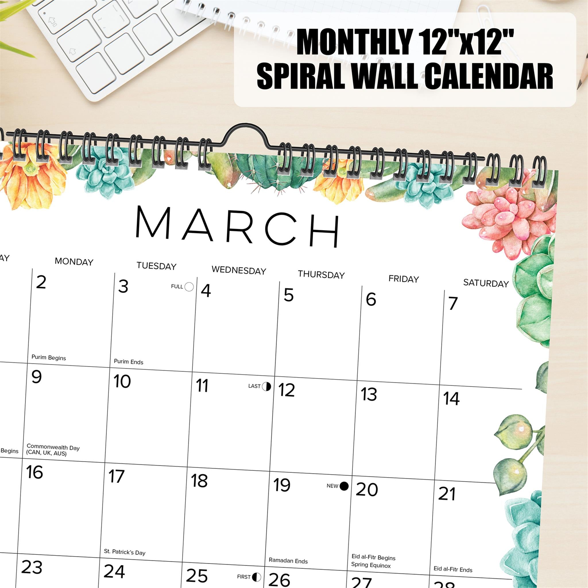 Succulents 2026 Spiral Wall Calendar