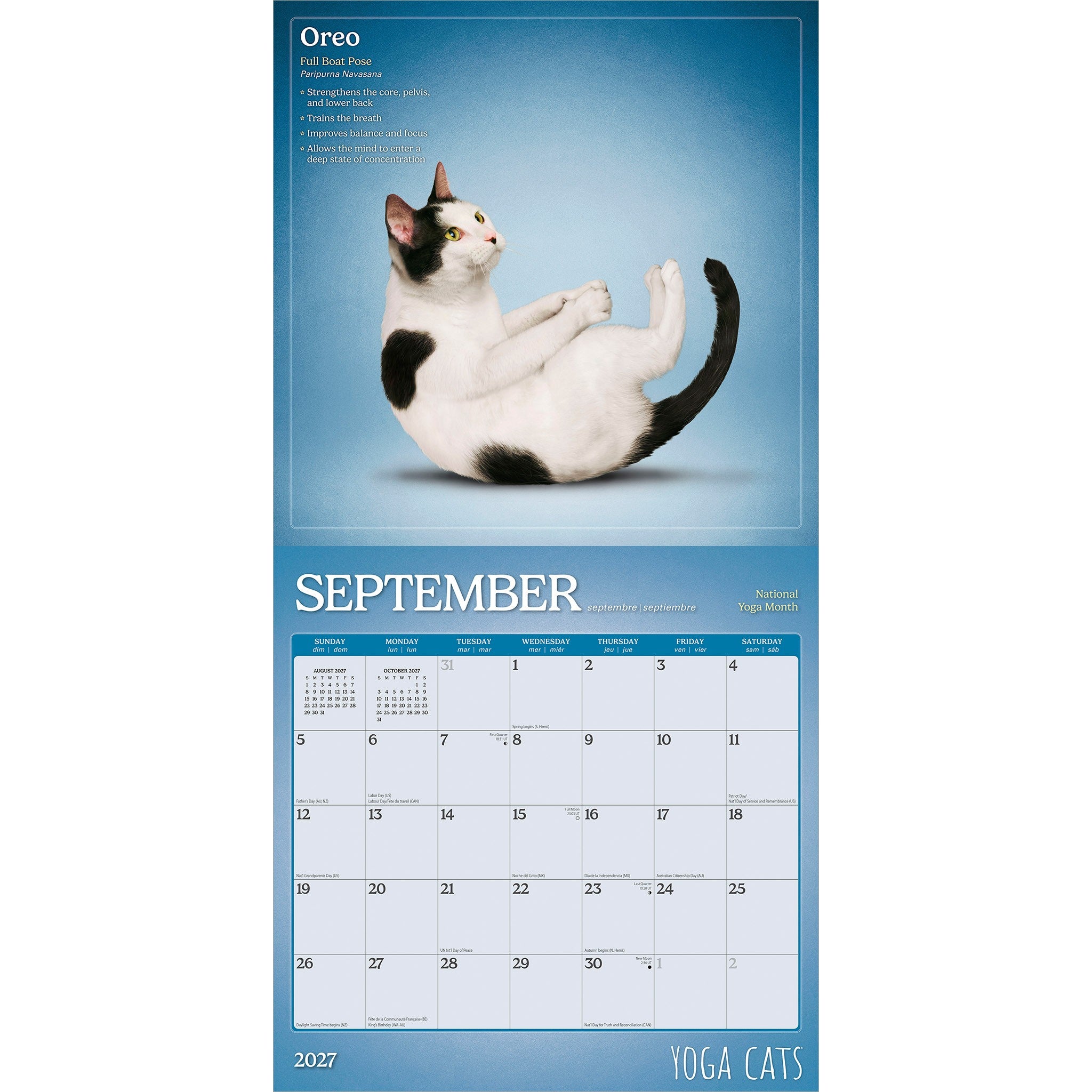 Yoga Cats 2027 Wall Calendar