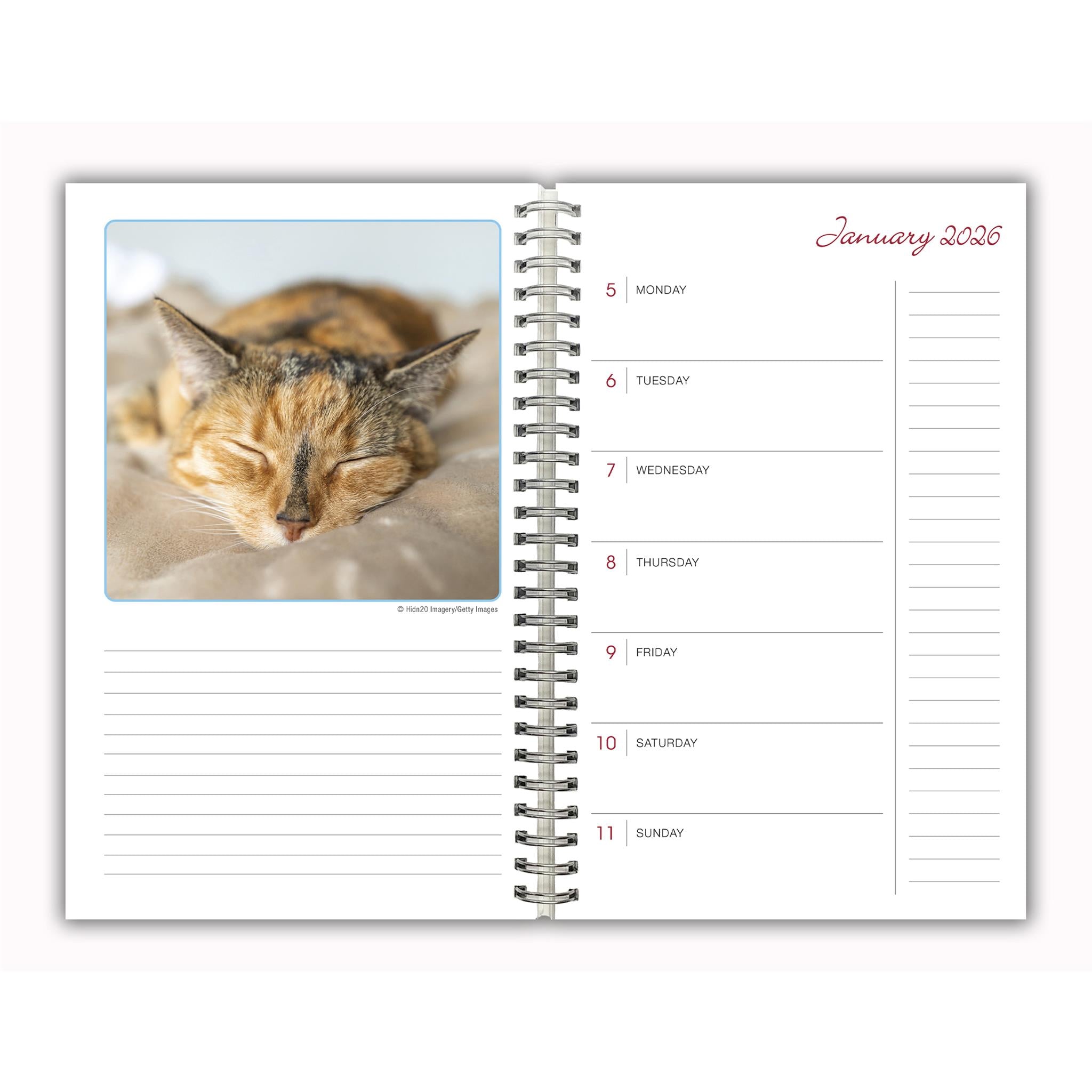 Cat Naps 2025-2026 Engagement Calendar
