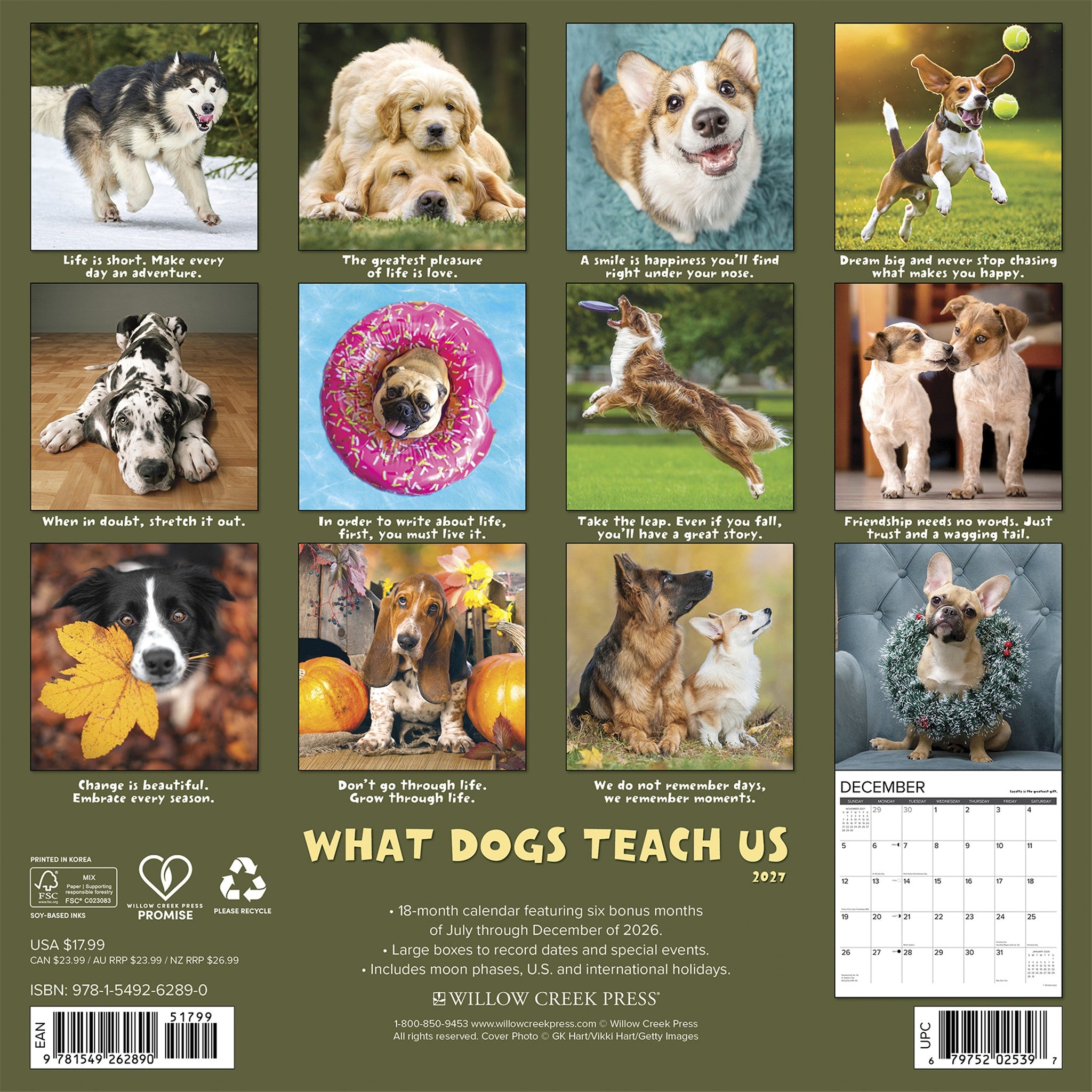 What Dogs Teach Us 2027 Wall Calendar