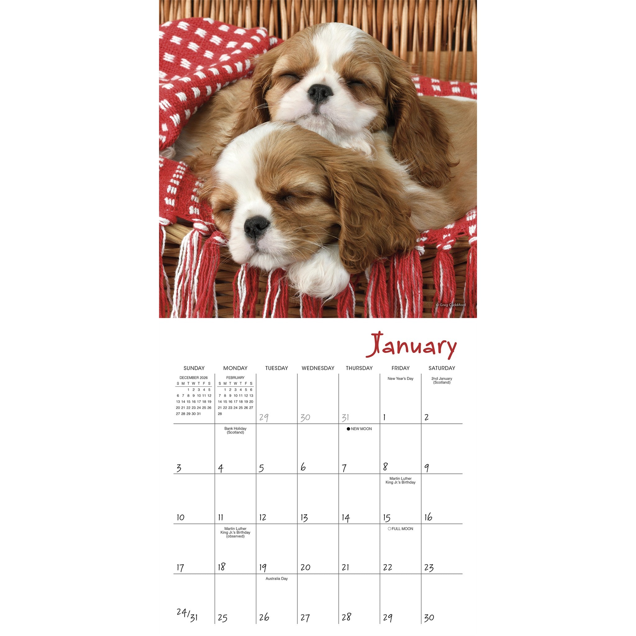 Pooped Puppies 2027 Mini Calendar