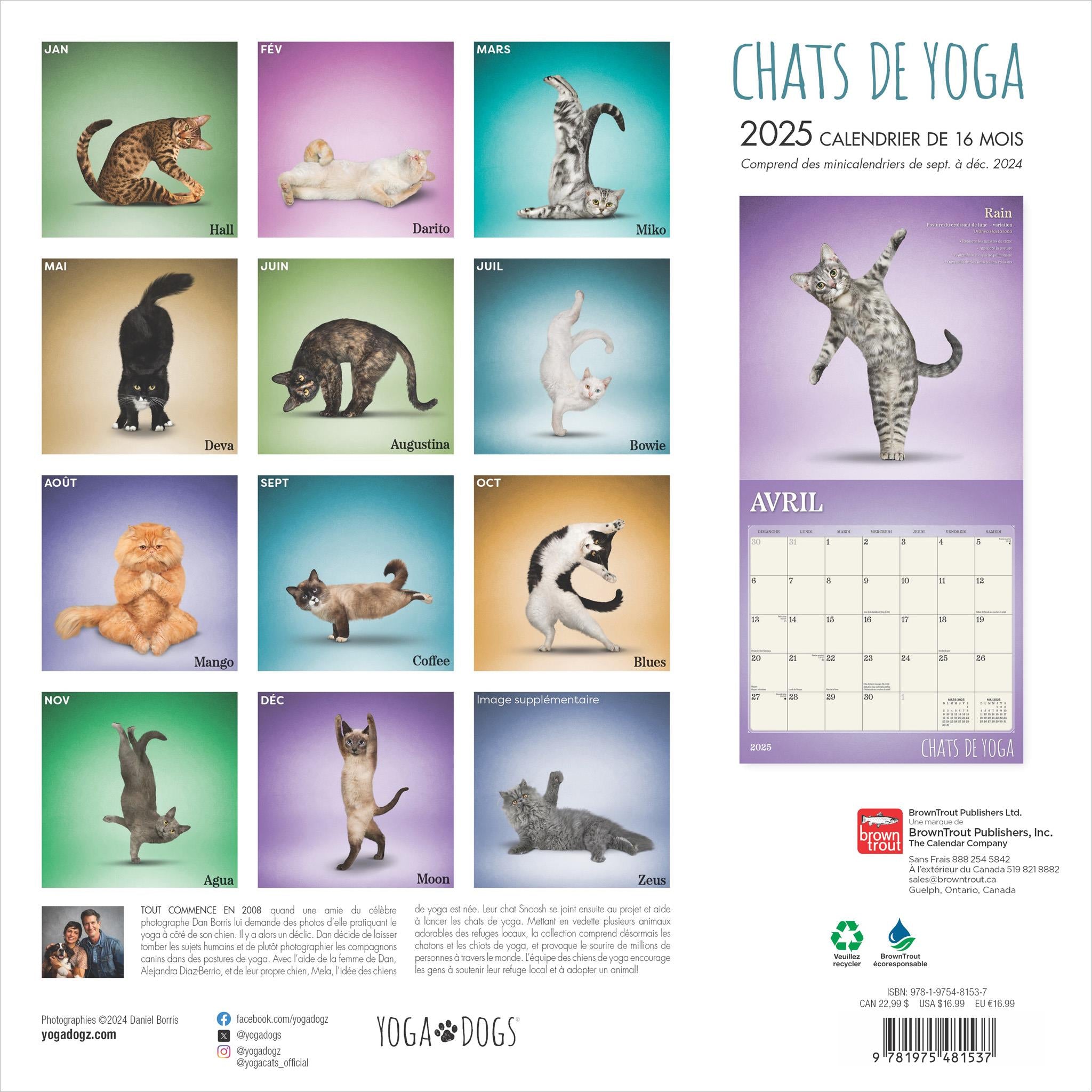 Chats De Yoga Wall 2025 Calendar (French)