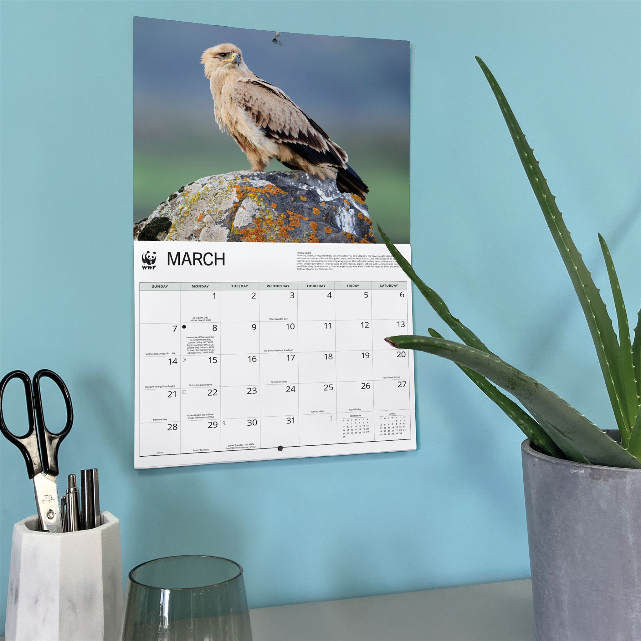 World Wildlife Fund Eagles 2027 Wall Calendar