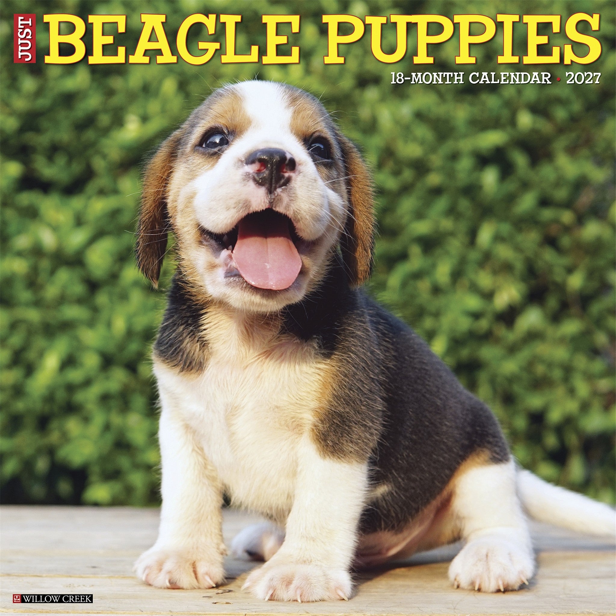 Beagle Puppies 2027 Wall Calendar