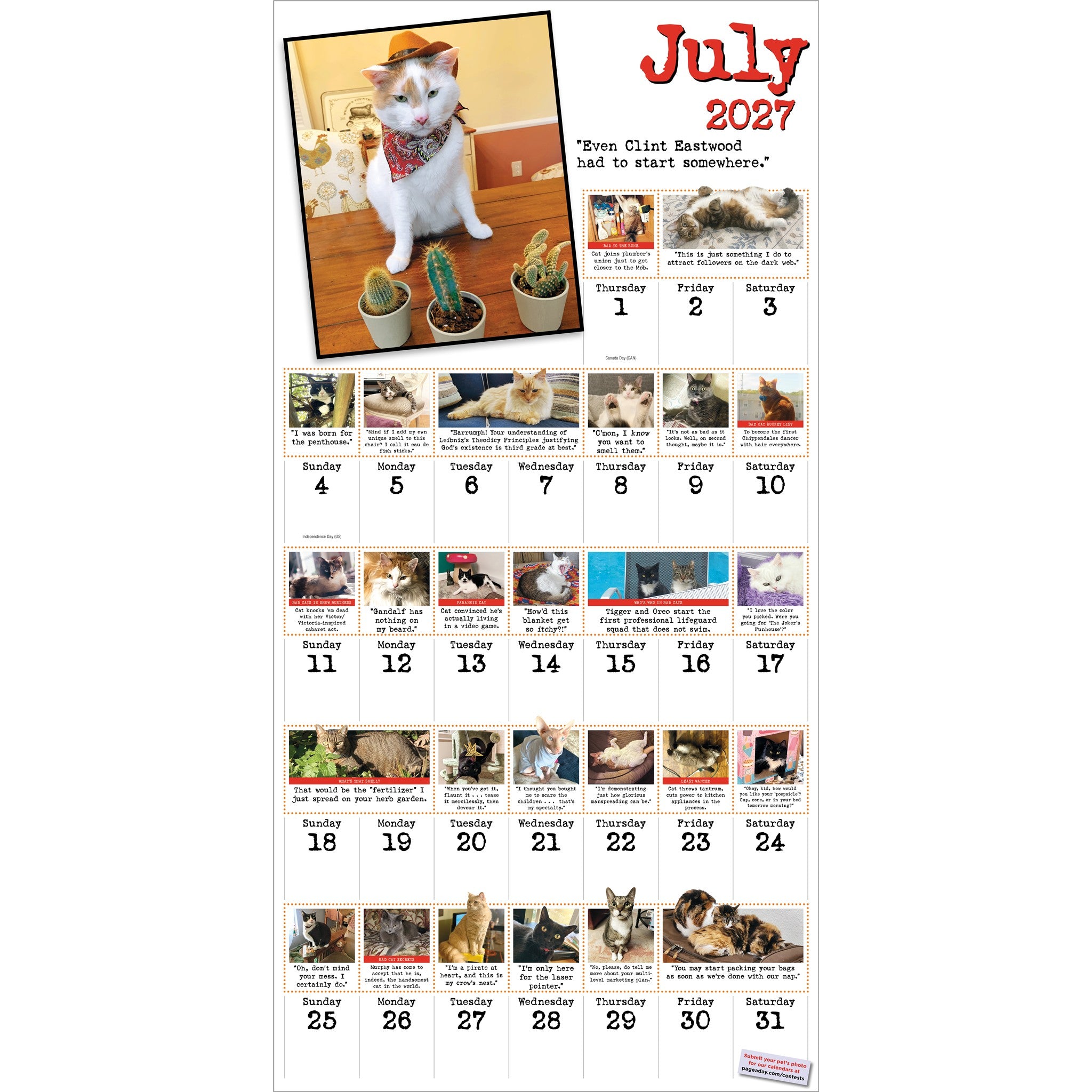Bad Cat 2027 Wall Calendar - Online Only